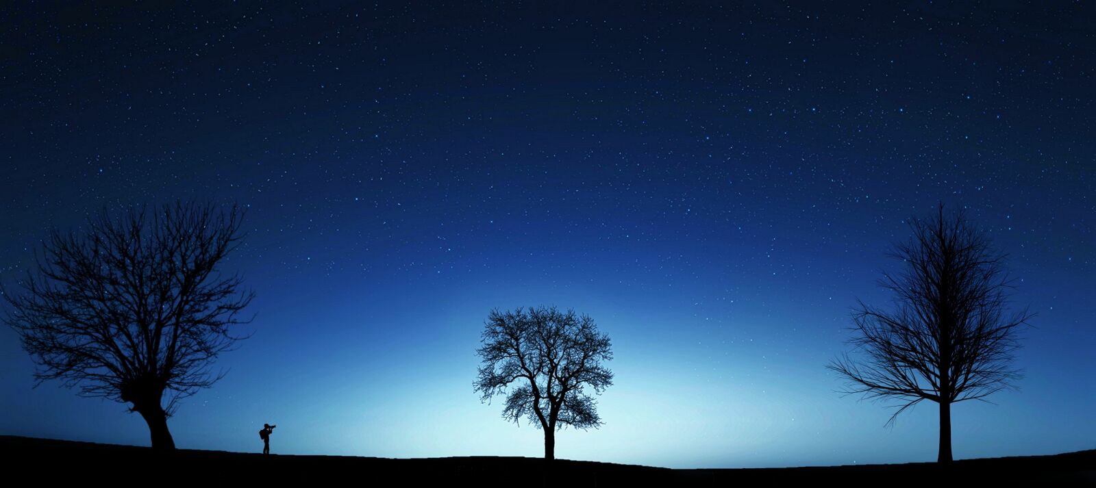 Nikon D5100 sample photo. Night, silhouette, landscape photography