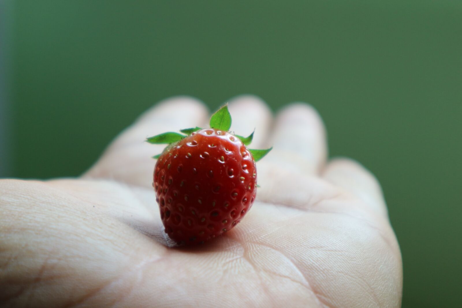 Canon EOS M10 sample photo. Straw berry, fruit, red photography