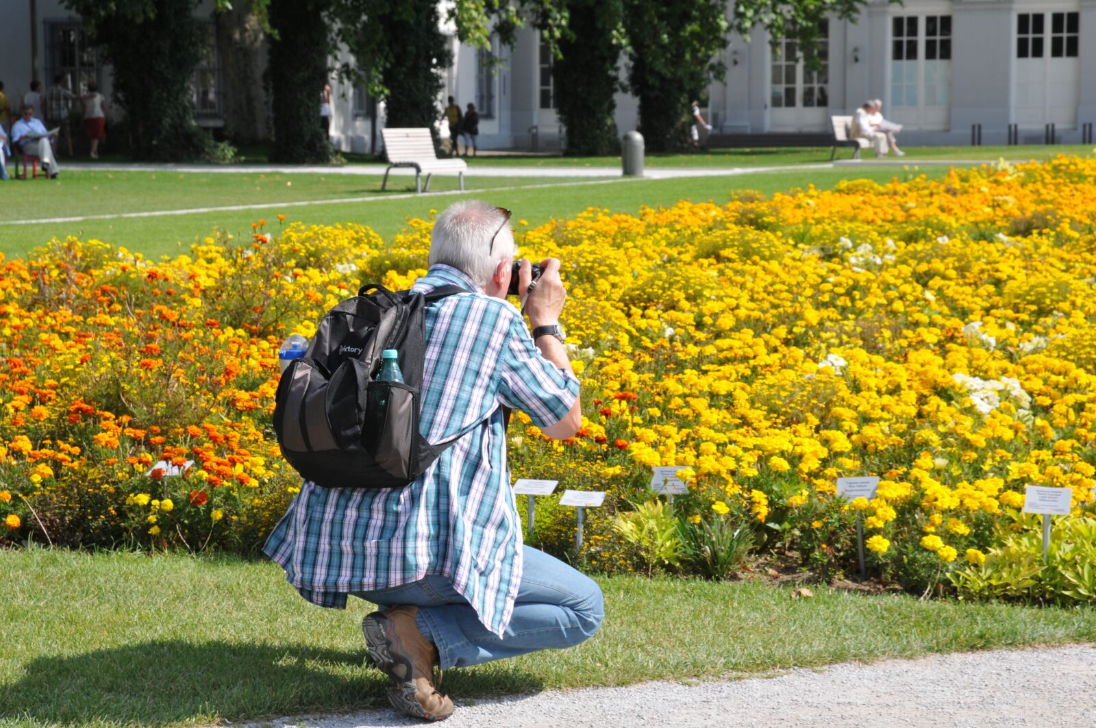 Nikon D300S sample photo. Photographer, under pikture, garden photography