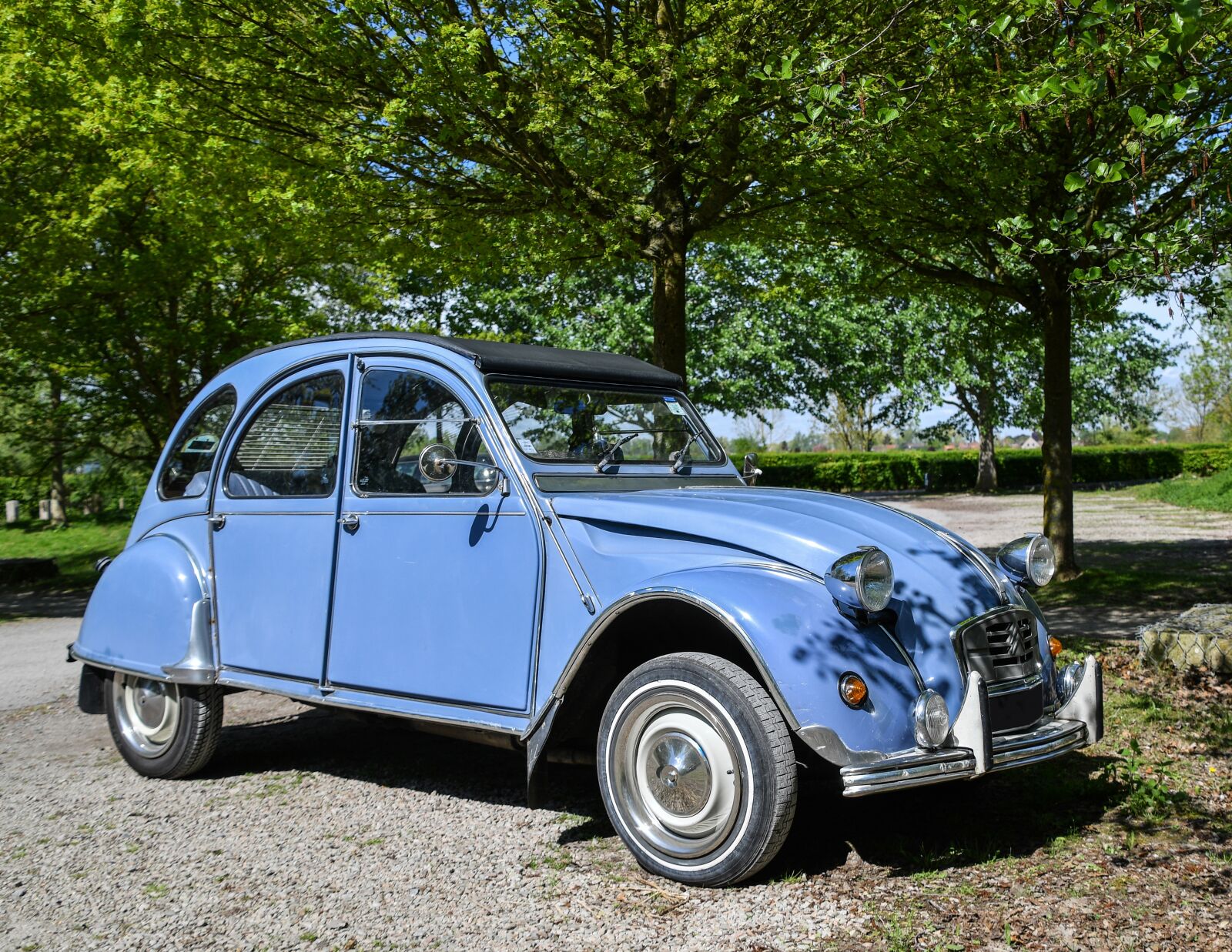Nikon D500 sample photo. Car, two-horses, automobile photography