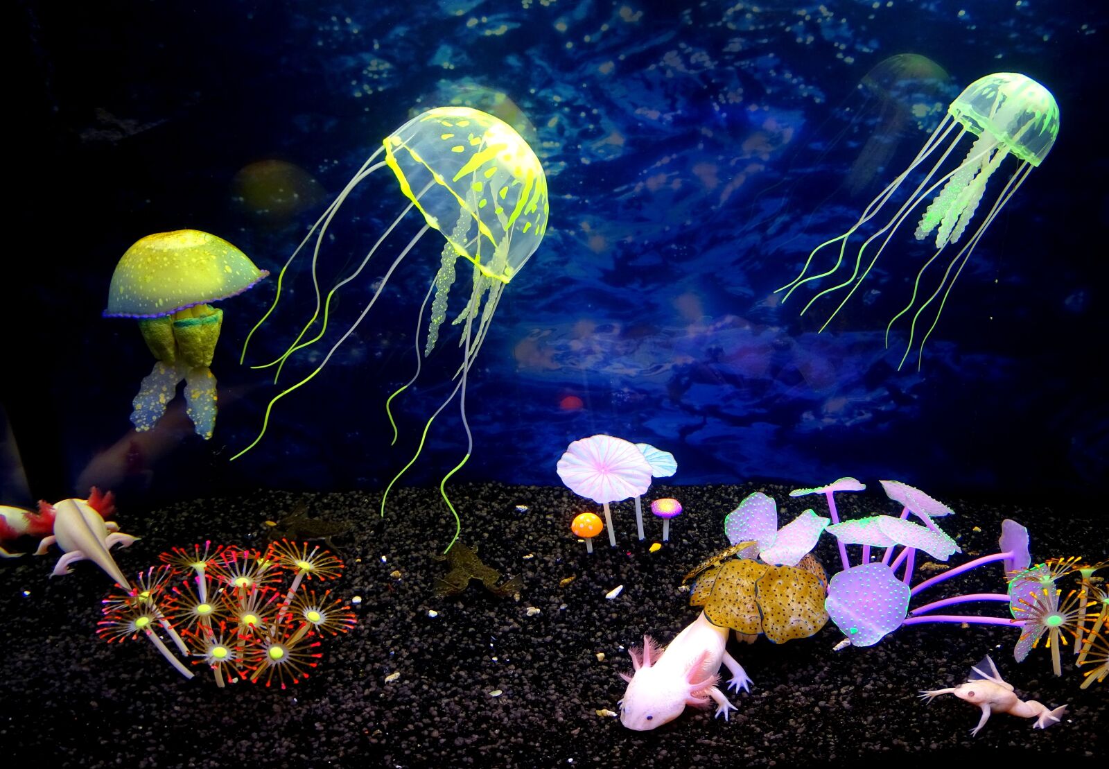 Sony Cyber-shot DSC-HX400V sample photo. Underwater world, jellyfish, beauty photography