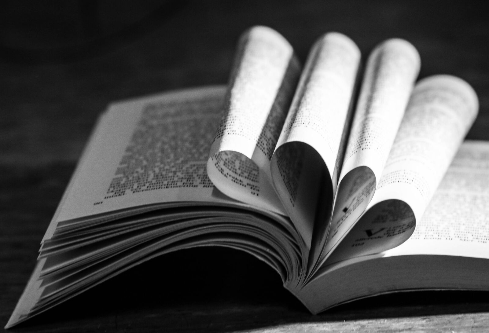 Canon EOS 7D Mark II sample photo. Book, reading, pages photography