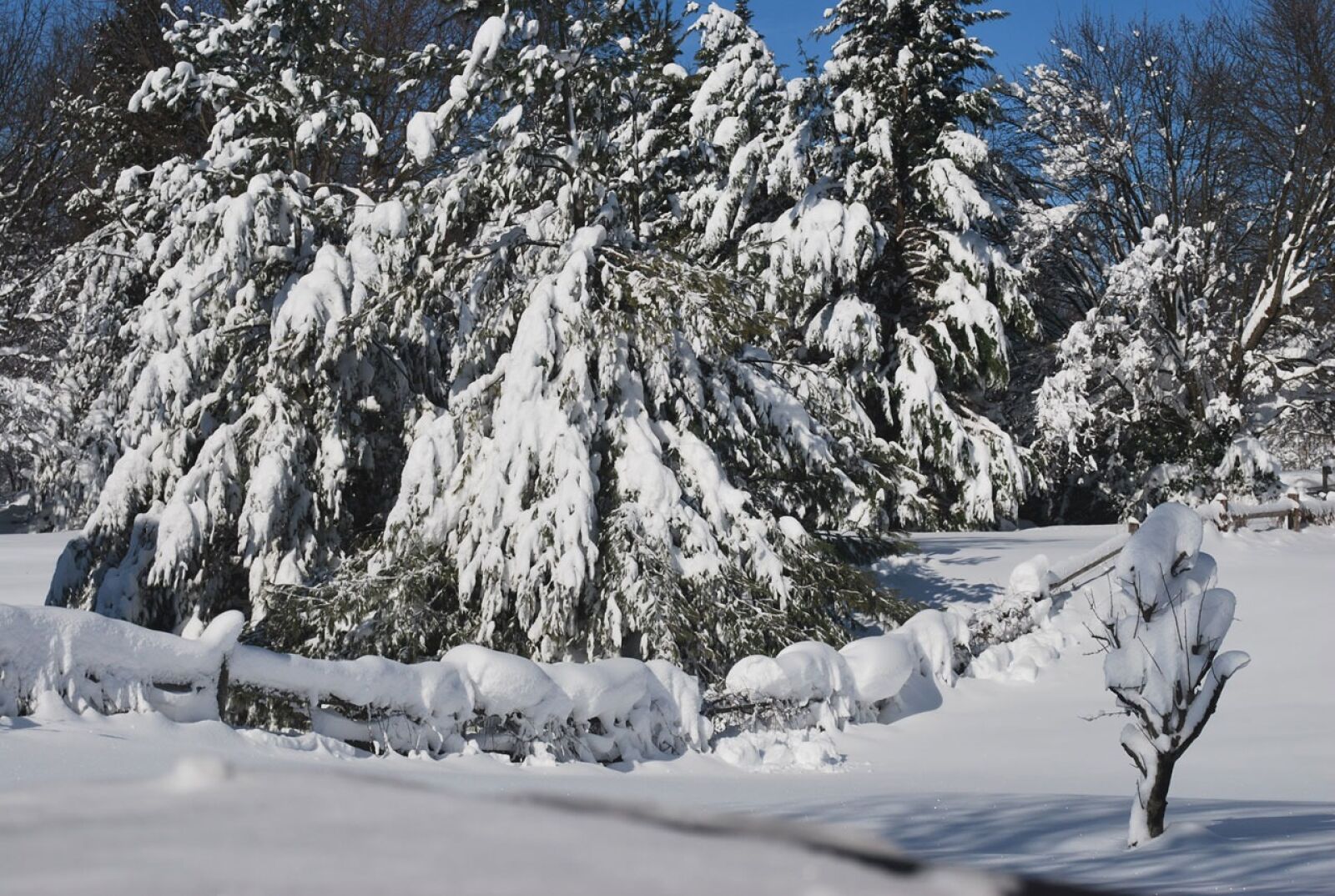 Nikon D60 sample photo. Snow, cover, drift photography