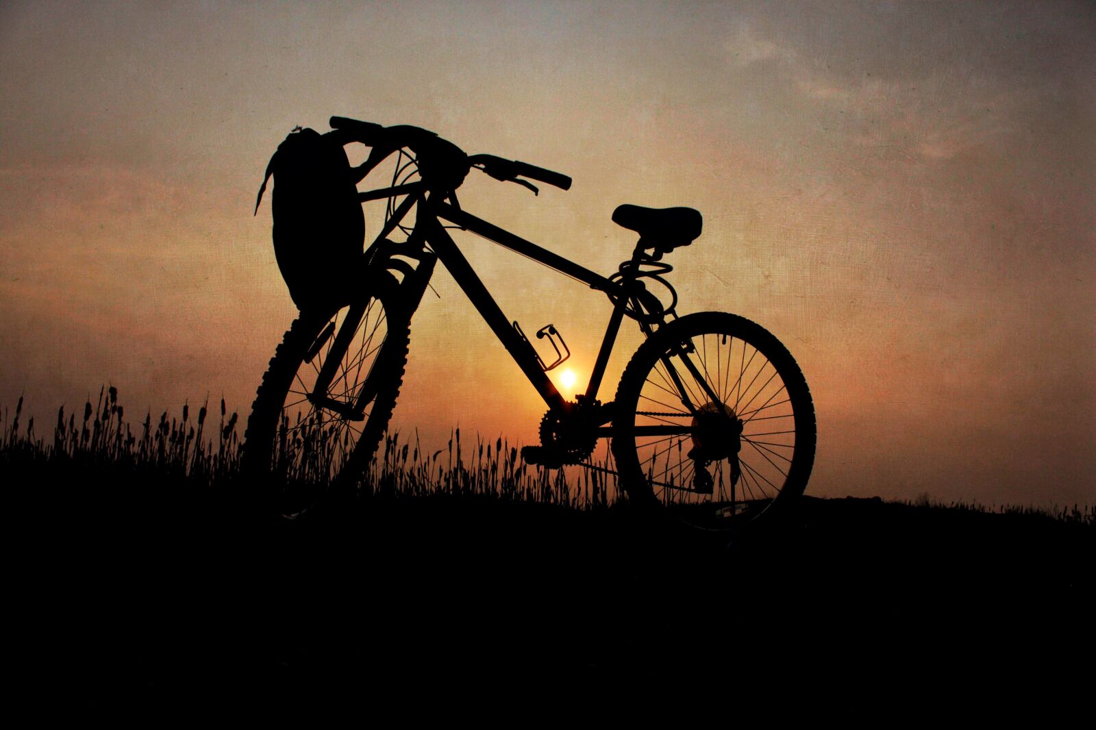 Canon EOS 500D (EOS Rebel T1i / EOS Kiss X3) sample photo. Bicycle, silhouette, bike photography