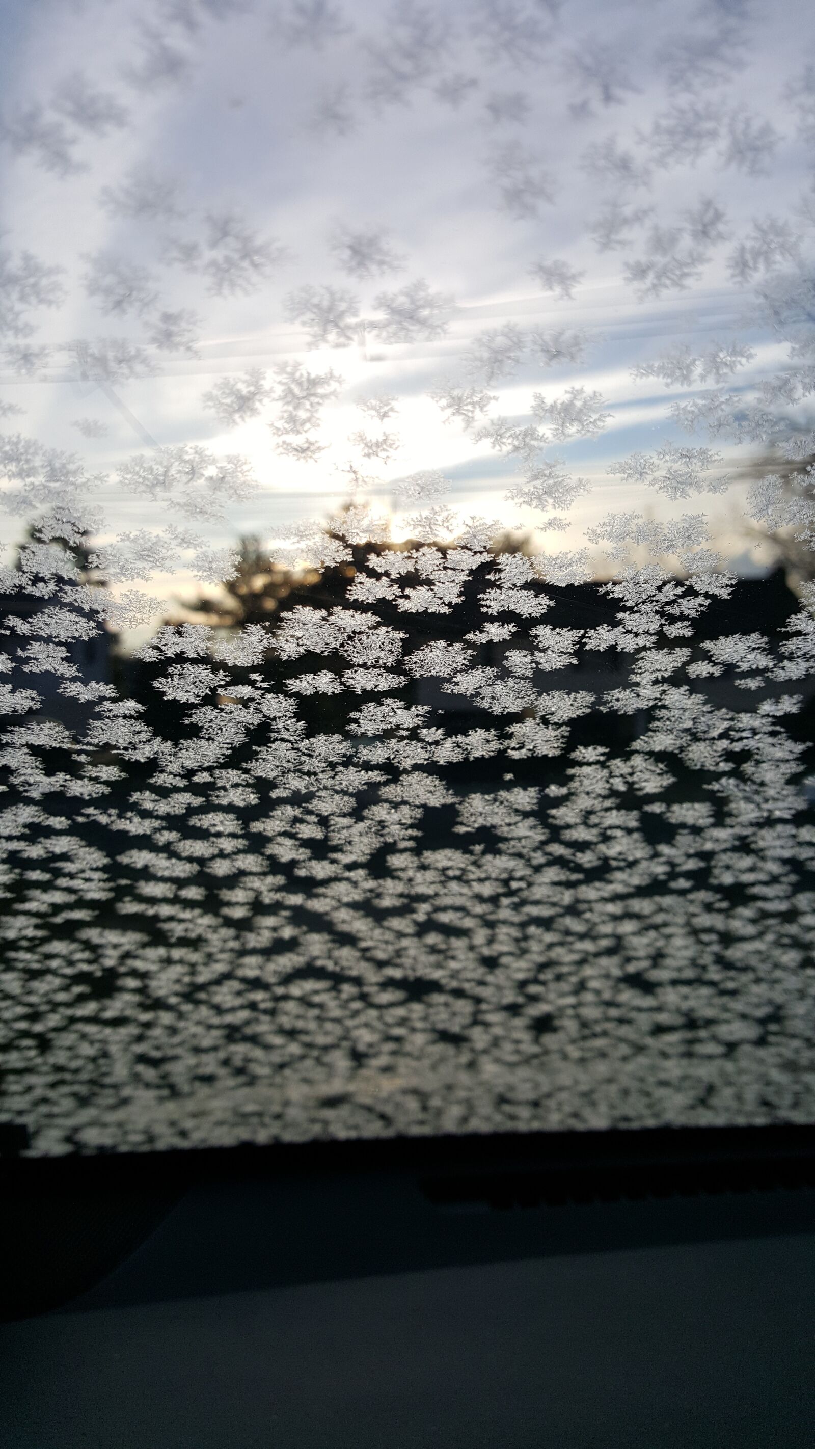 Samsung Galaxy Note5 sample photo. Frost, morning, windshield photography