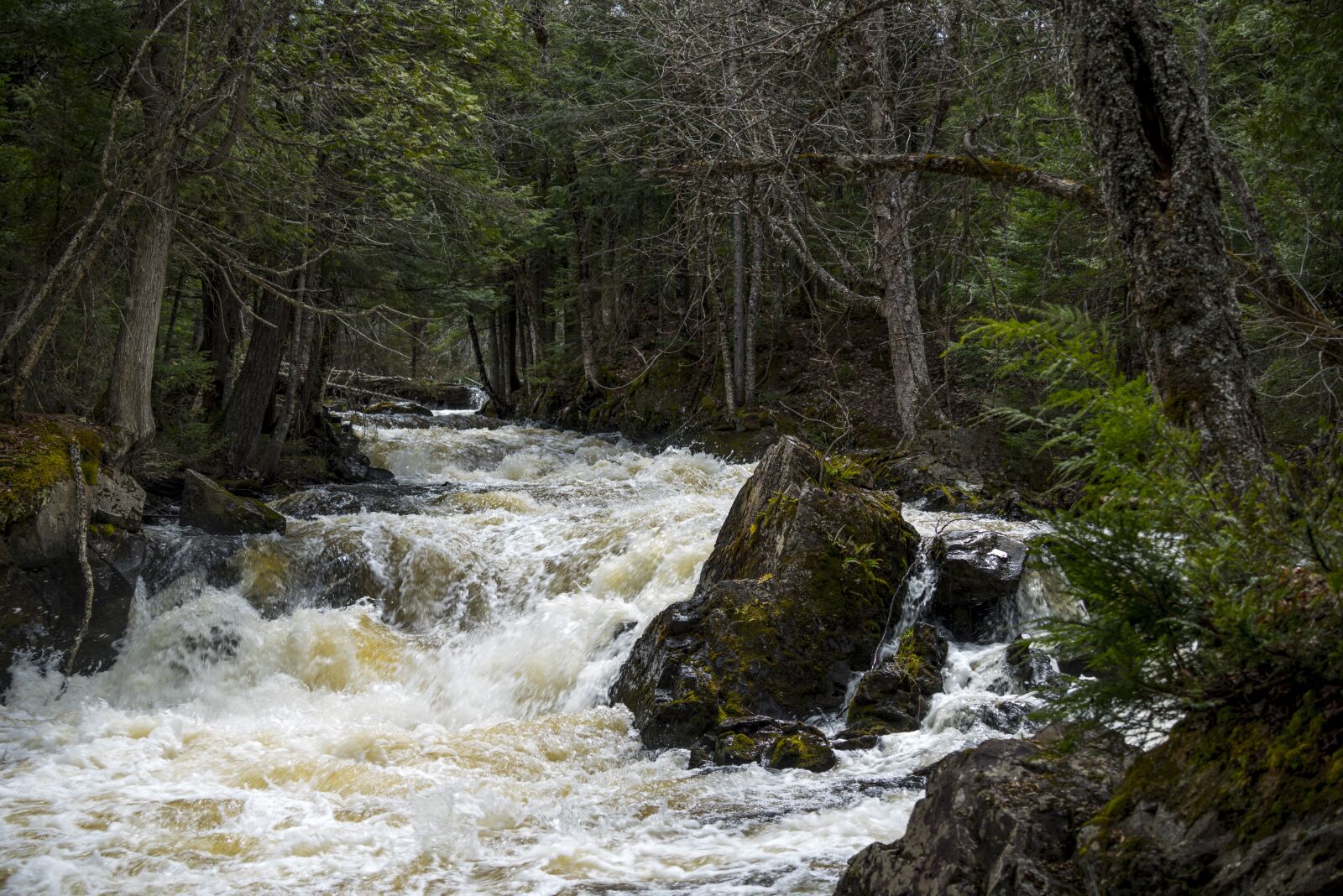 Nikon D810 sample photo. Waterfall, river, nature photography
