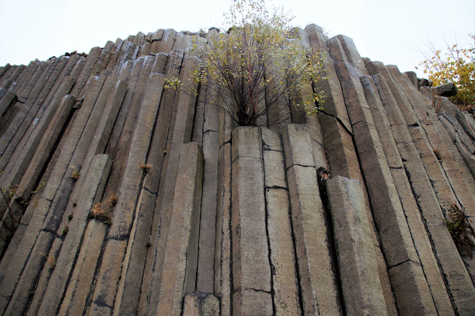 Sony SLT-A58 sample photo. Basalt, organ, stone photography