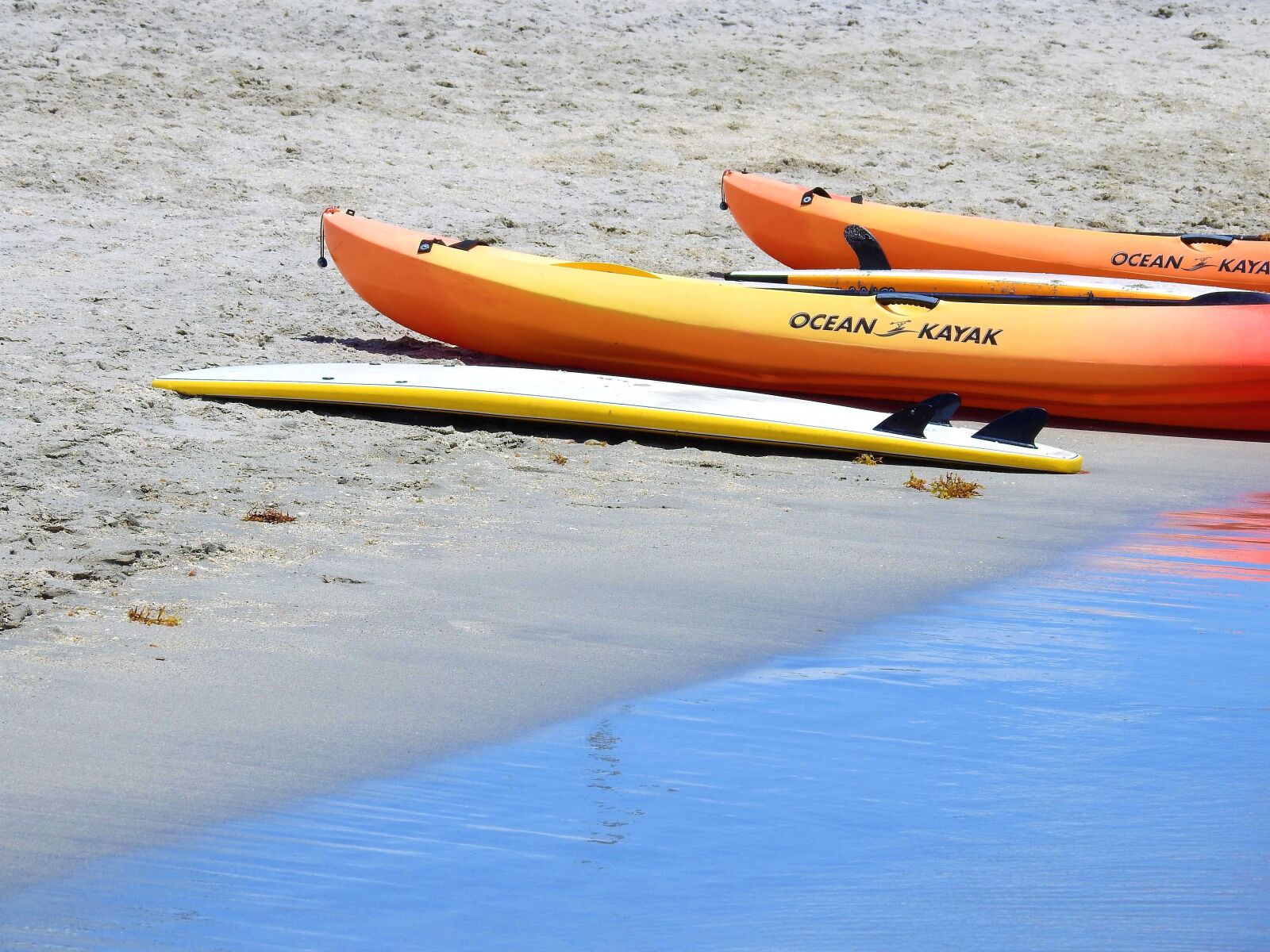 Nikon Coolpix P900 sample photo. Kayak, ocean, sea photography