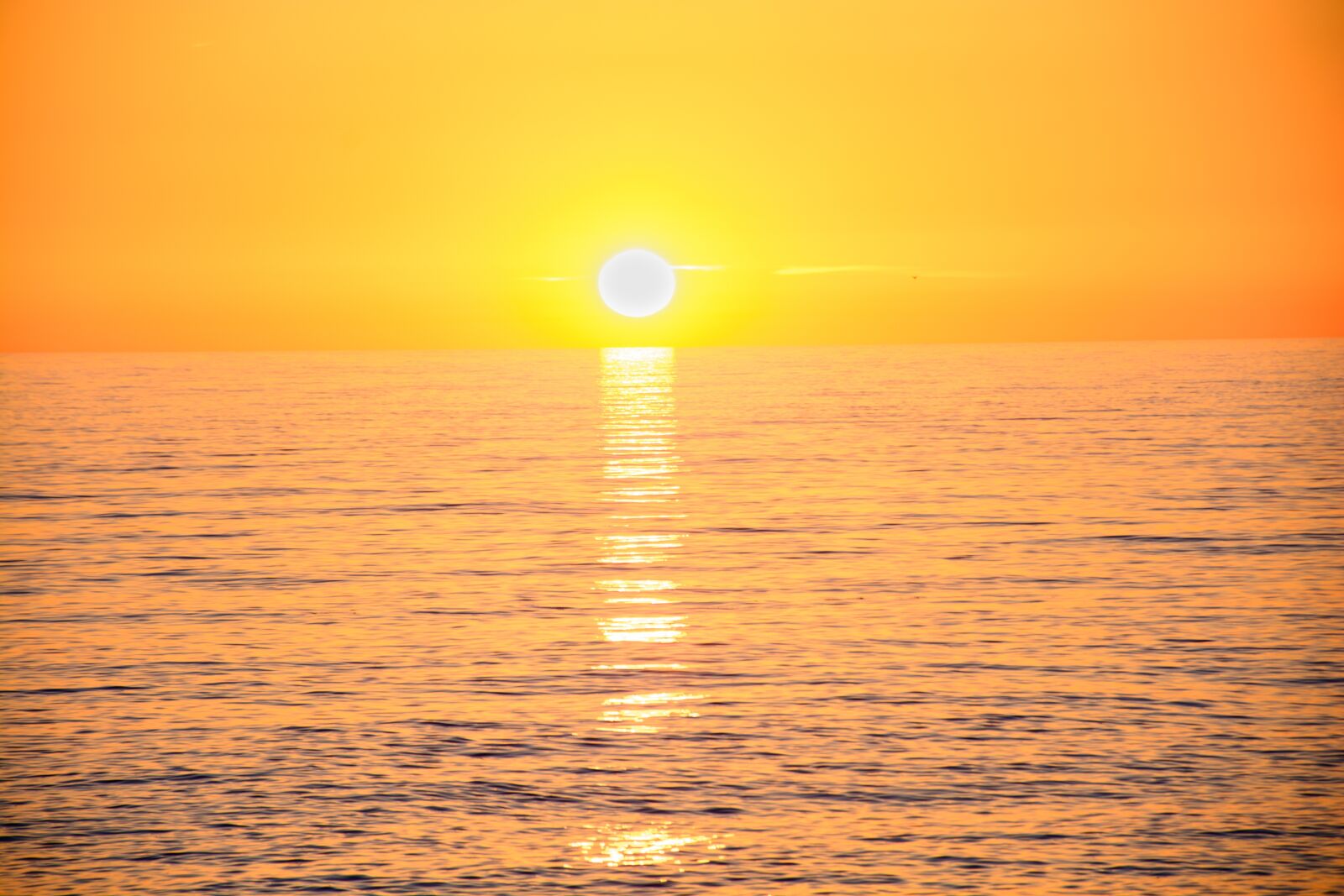 Nikon D7100 sample photo. Sun, landscape, sea photography