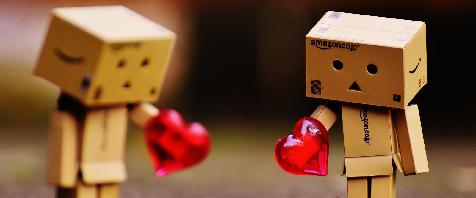 Nikon D7200 sample photo. Danbo, figures, love photography