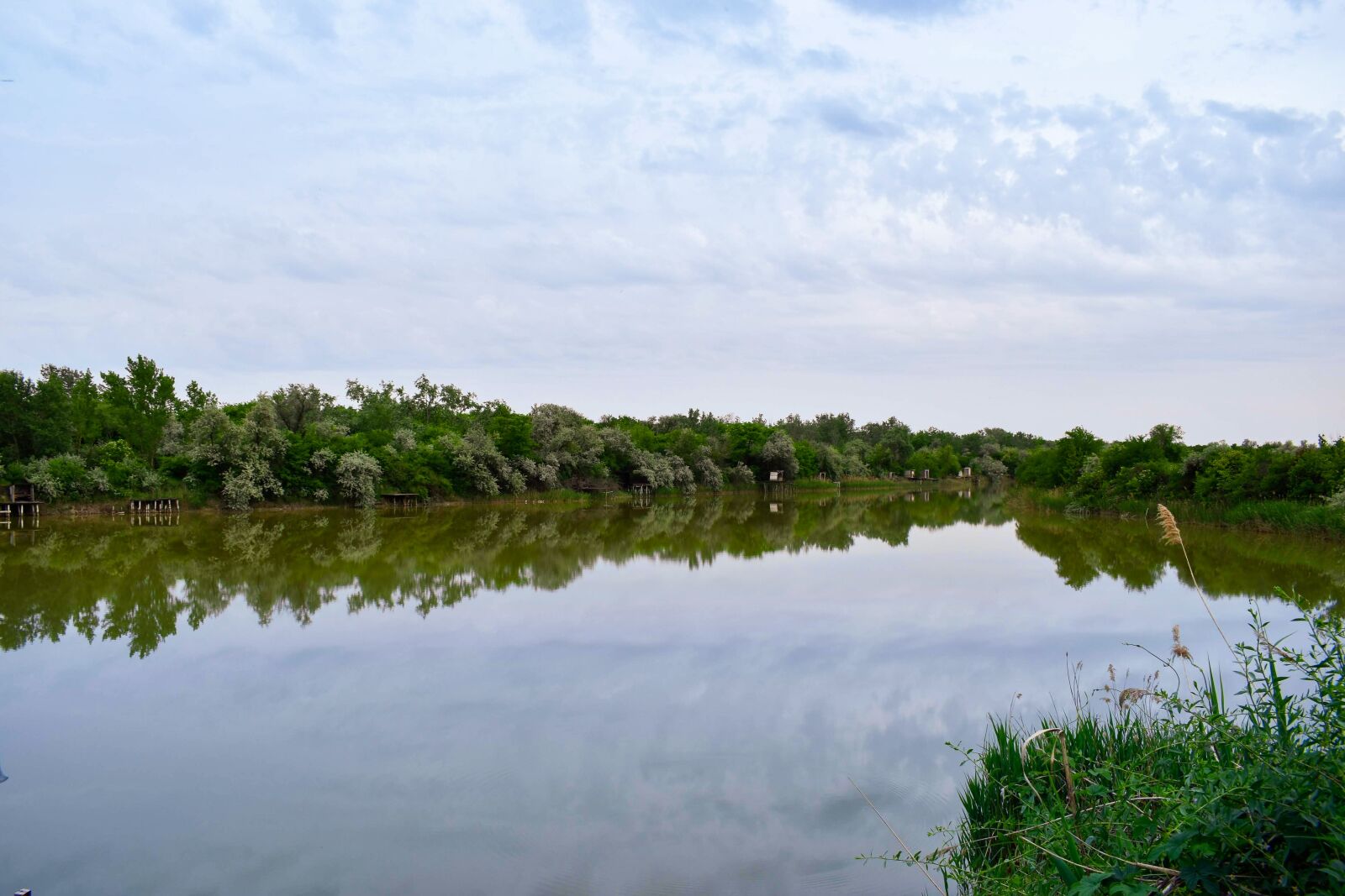 Nikon D3500 sample photo. Lake, water, nature photography