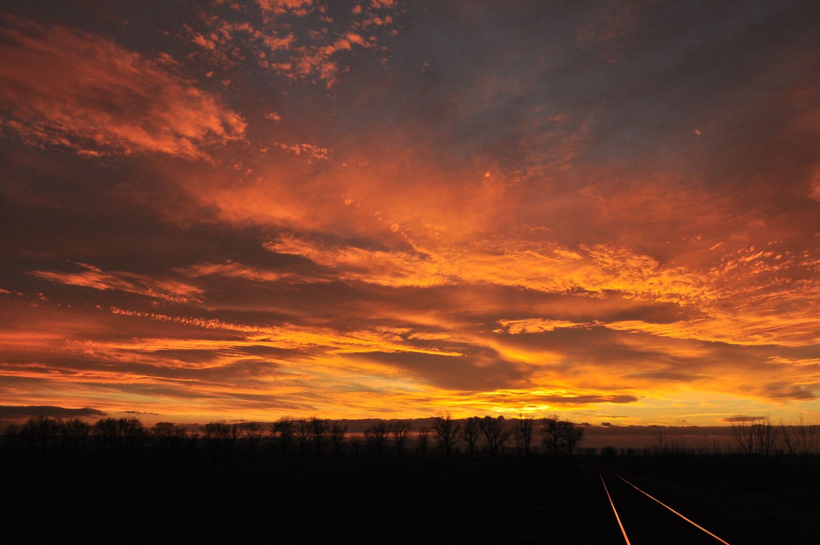 Nikon D5000 sample photo. Sunset, sun, orange photography