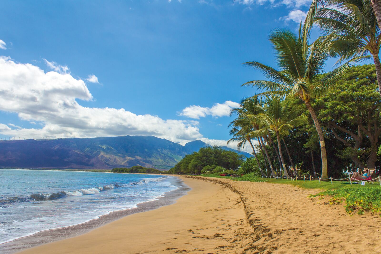 Canon EOS 600D (Rebel EOS T3i / EOS Kiss X5) sample photo. Beach, landscape, hawaii photography