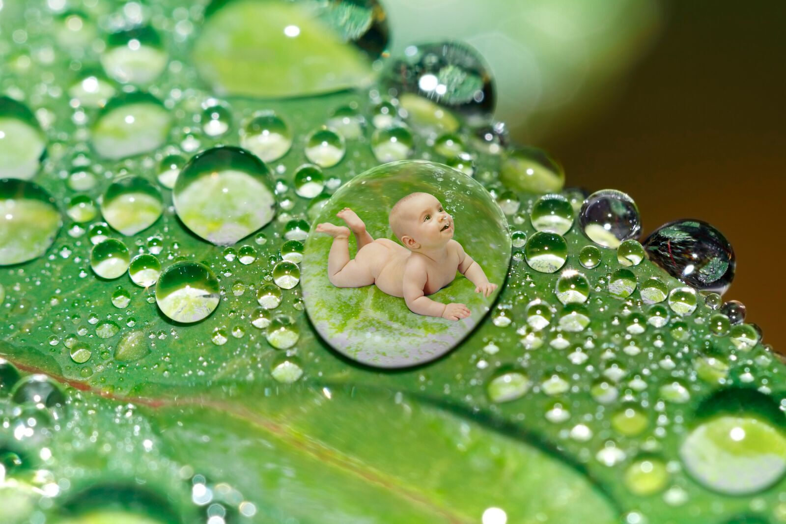 Canon EOS 7D sample photo. Drip, water, drop of photography