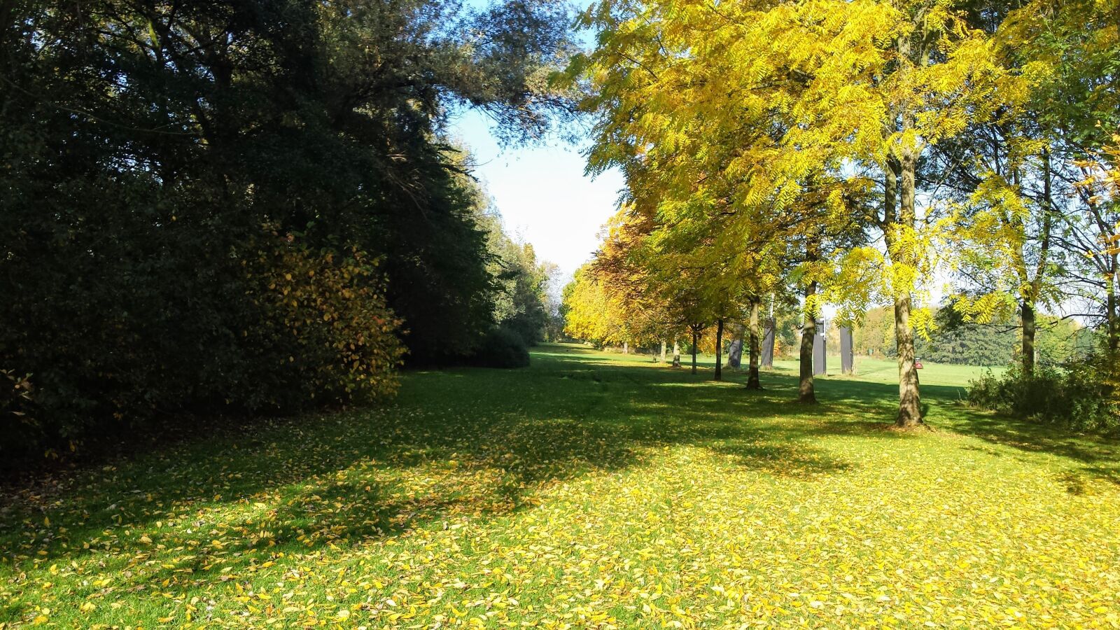 Samsung Galaxy S4 sample photo. Grass, garden, bloom photography