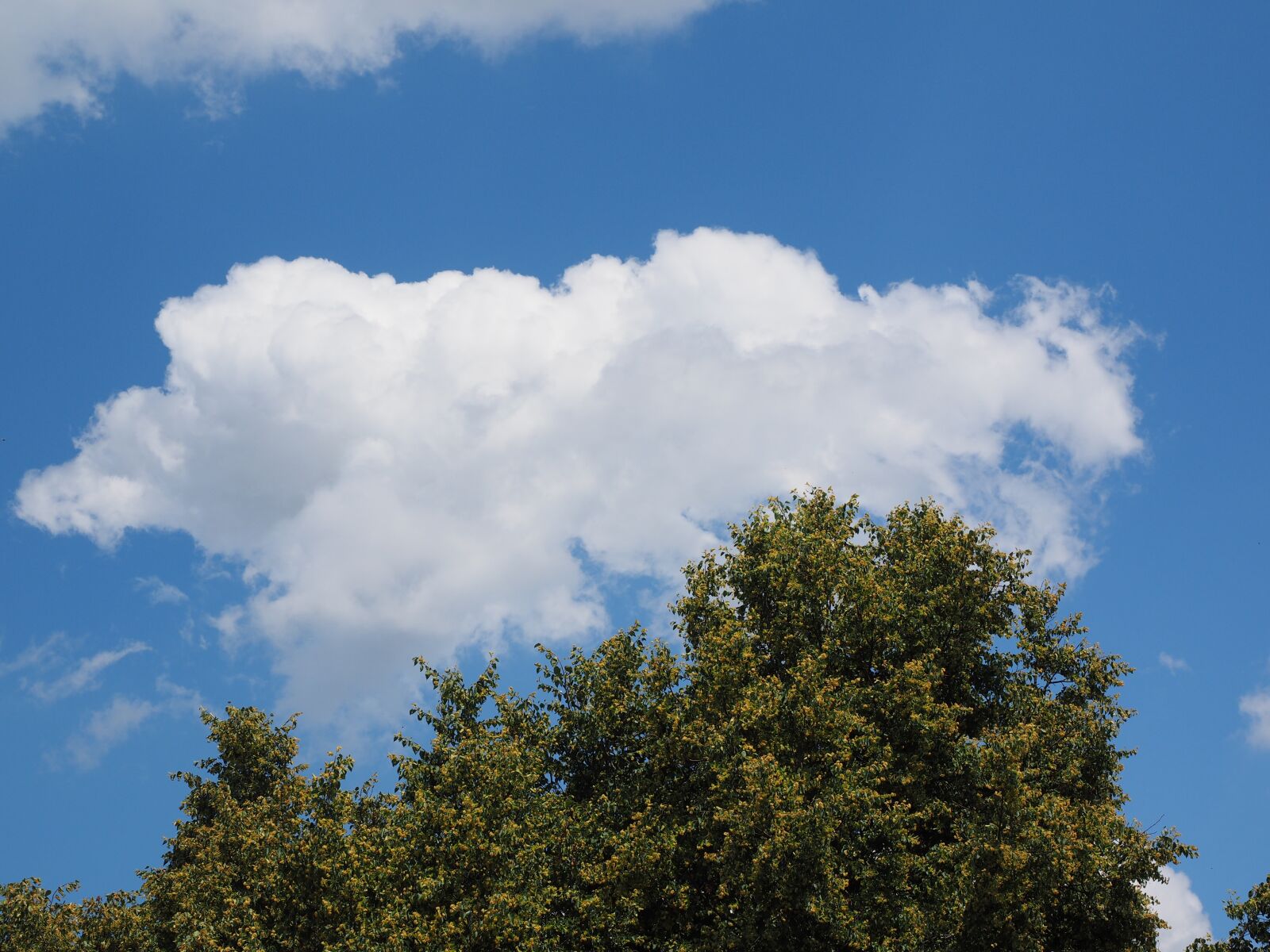 Olympus OM-D E-M1 + Olympus M.Zuiko Digital ED 12-40mm F2.8 Pro sample photo. Sky, cloud, blue photography