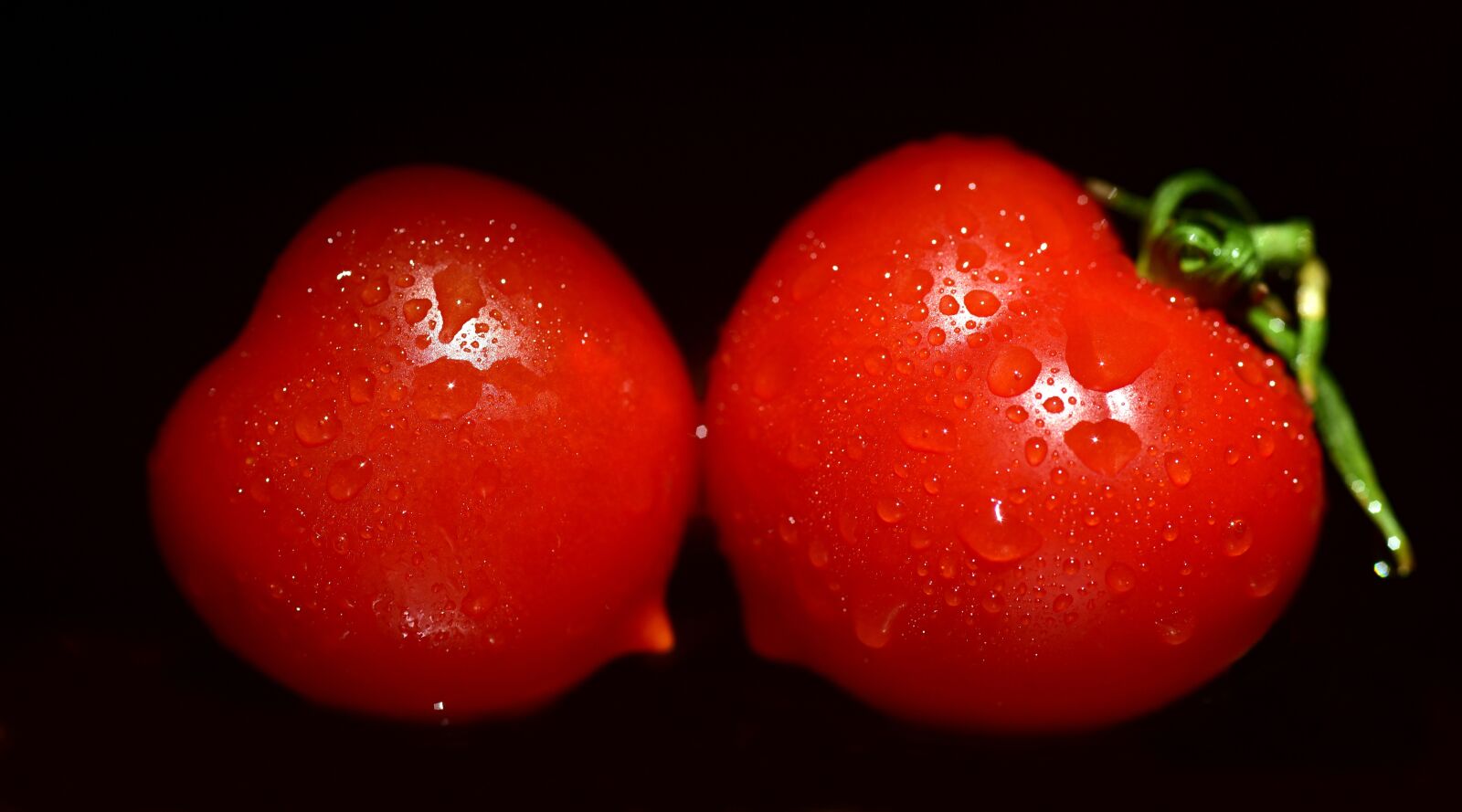 Nikon D750 sample photo. Tomatoes, red, eat photography