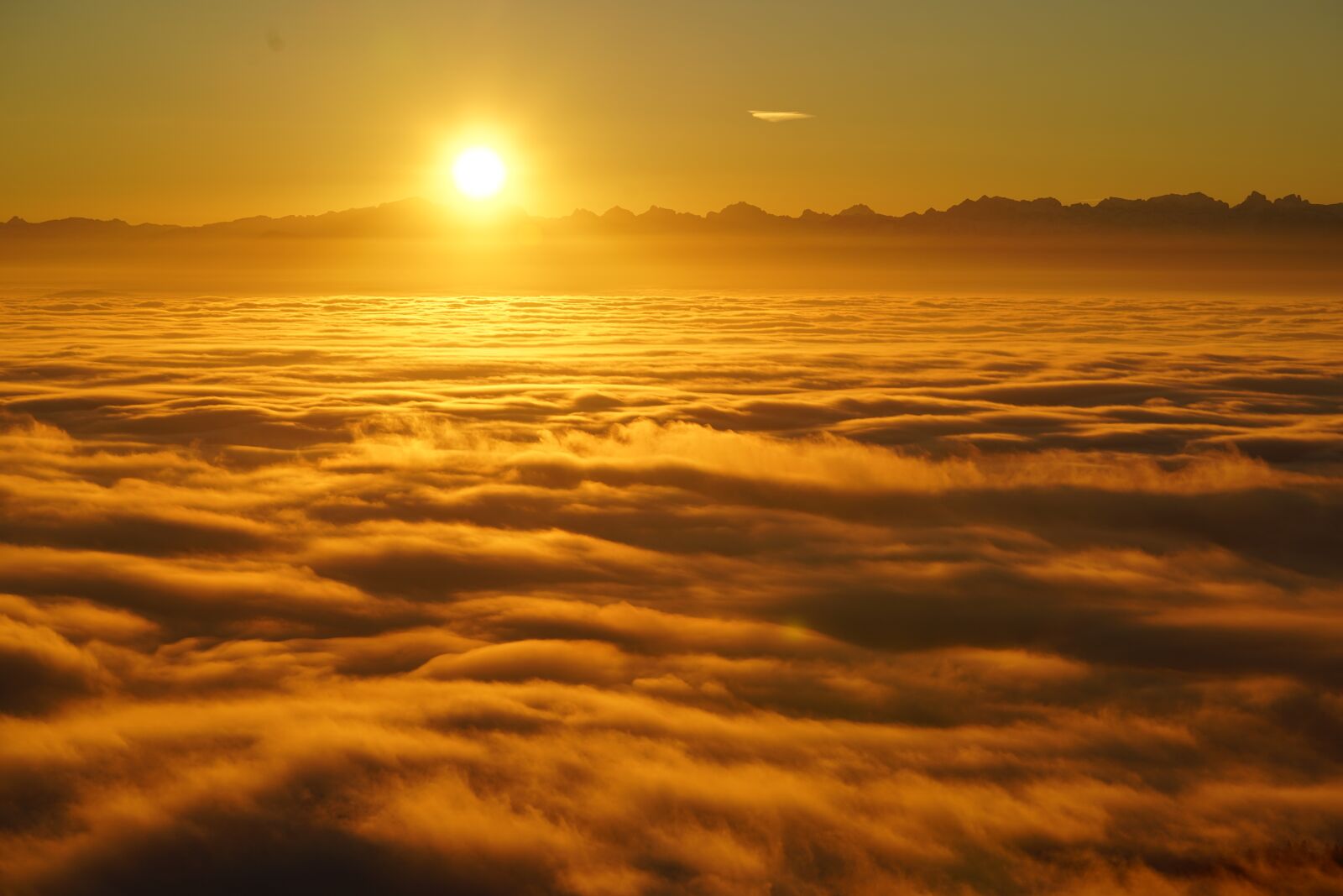 Sony a7R II + Sony FE 90mm F2.8 Macro G OSS sample photo. Sunrise, selva marine, clouds photography