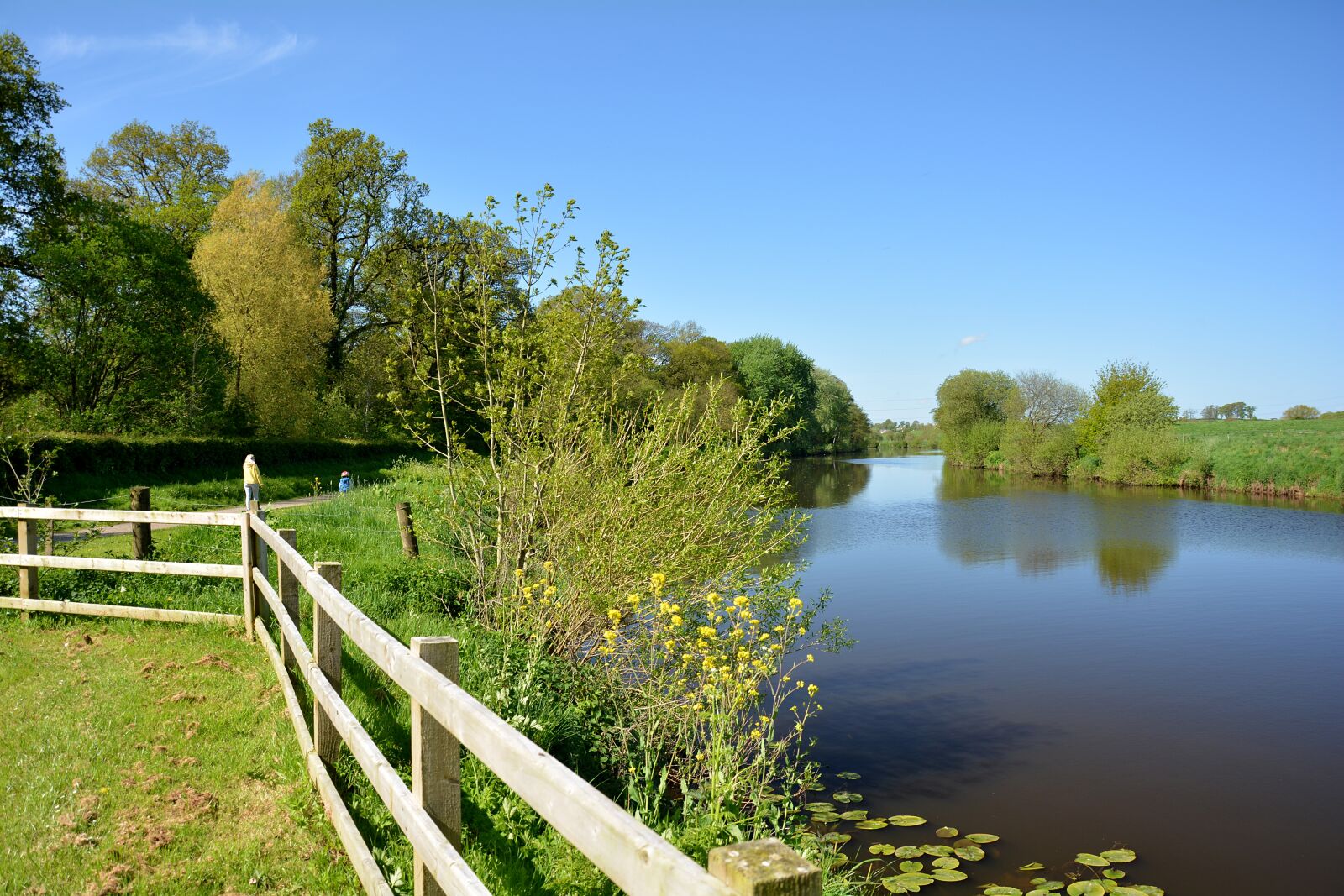 Nikon D5200 sample photo. Blackwater, ireland, landscape photography