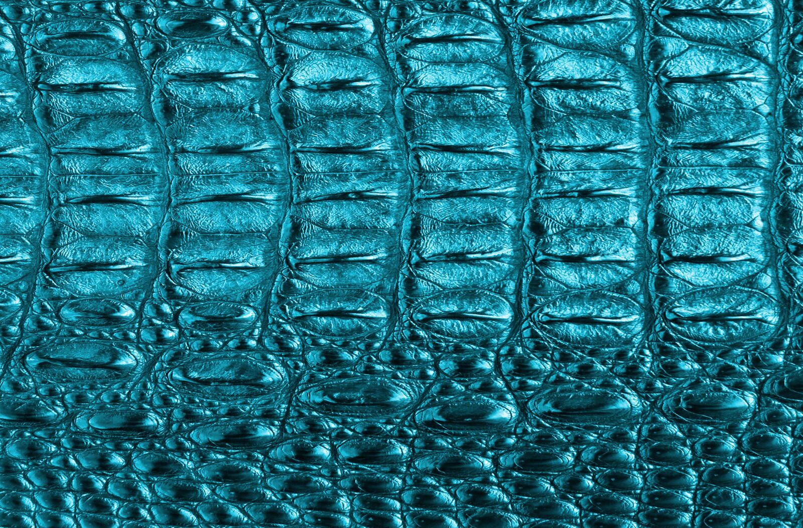 Nikon D700 sample photo. Texture, tortie, color photography