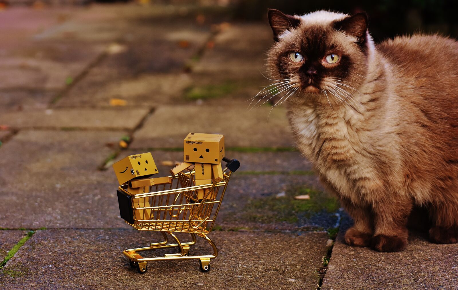 Nikon D7200 sample photo. Danbo, figures, shopping cart photography