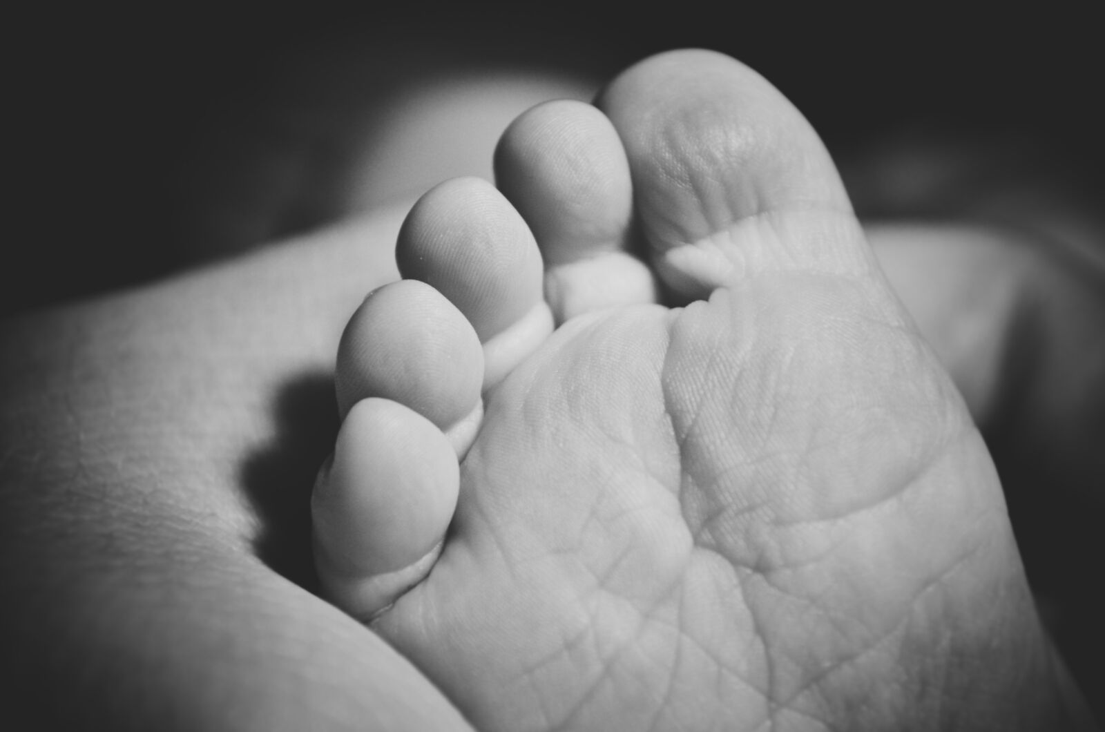 Nikon D5100 sample photo. Baby foot, foot, newborn photography