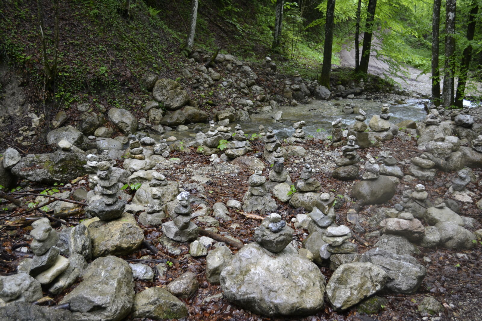 Nikon D3100 sample photo. Nature, stones photography