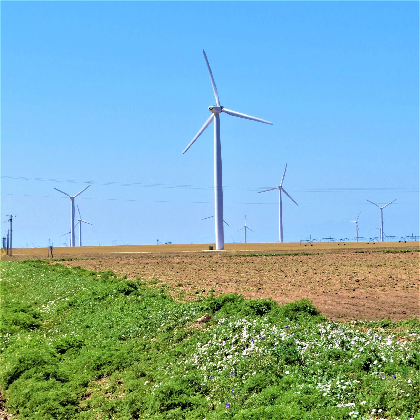 Canon PowerShot SX50 HS sample photo. Technology, modern windmill, north photography