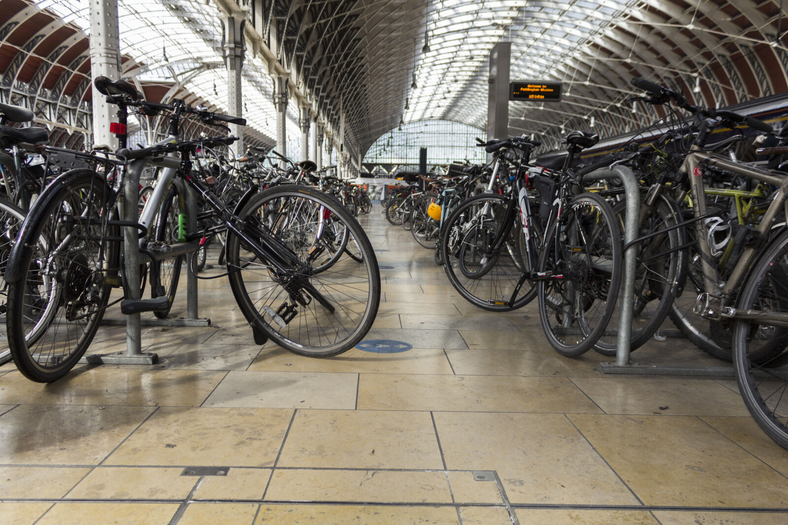 Canon EOS 600D (Rebel EOS T3i / EOS Kiss X5) sample photo. Bike, racing, london, padding photography