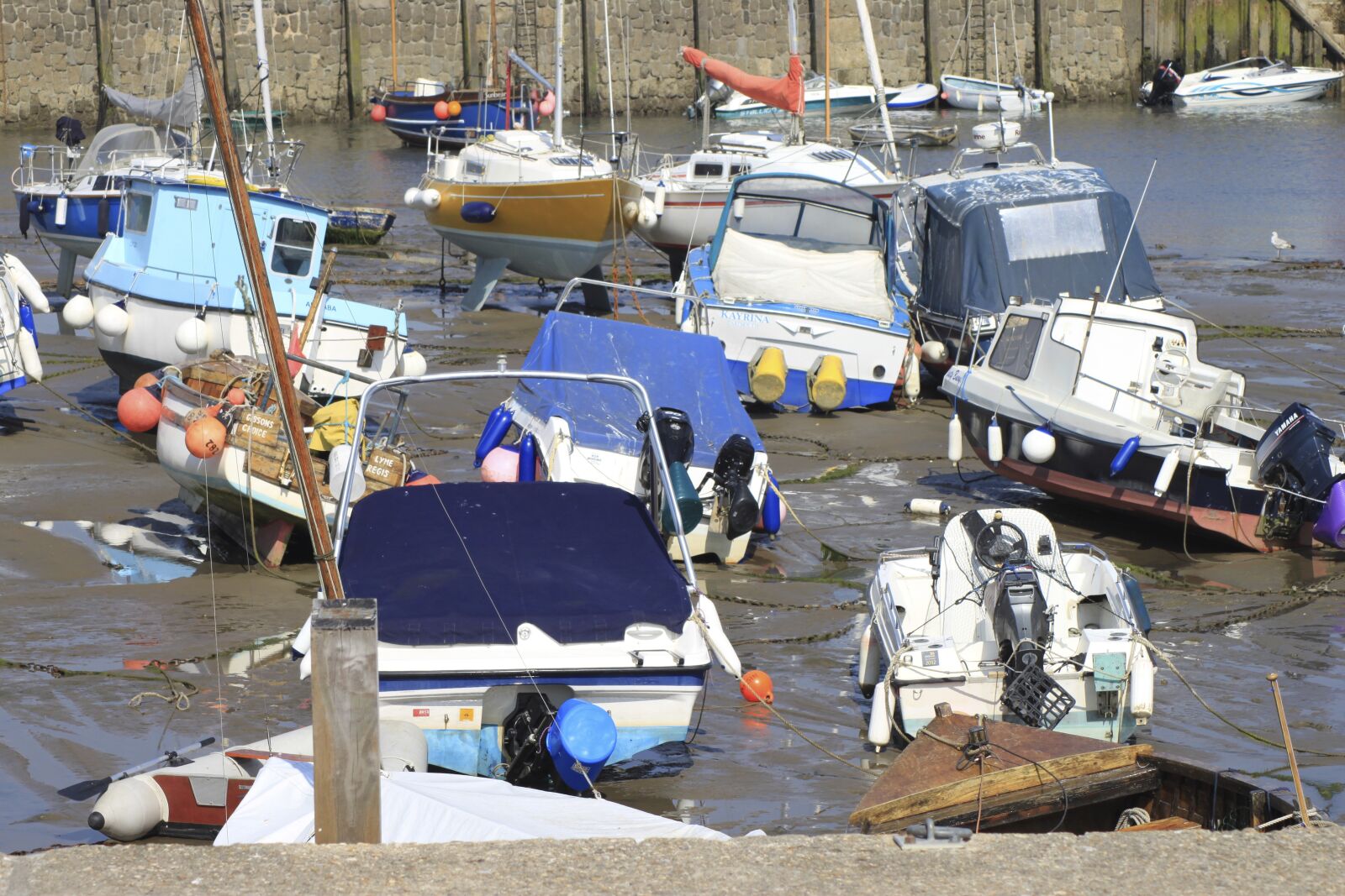 Canon EOS 500D (EOS Rebel T1i / EOS Kiss X3) sample photo. Seaside, boats, coastal photography