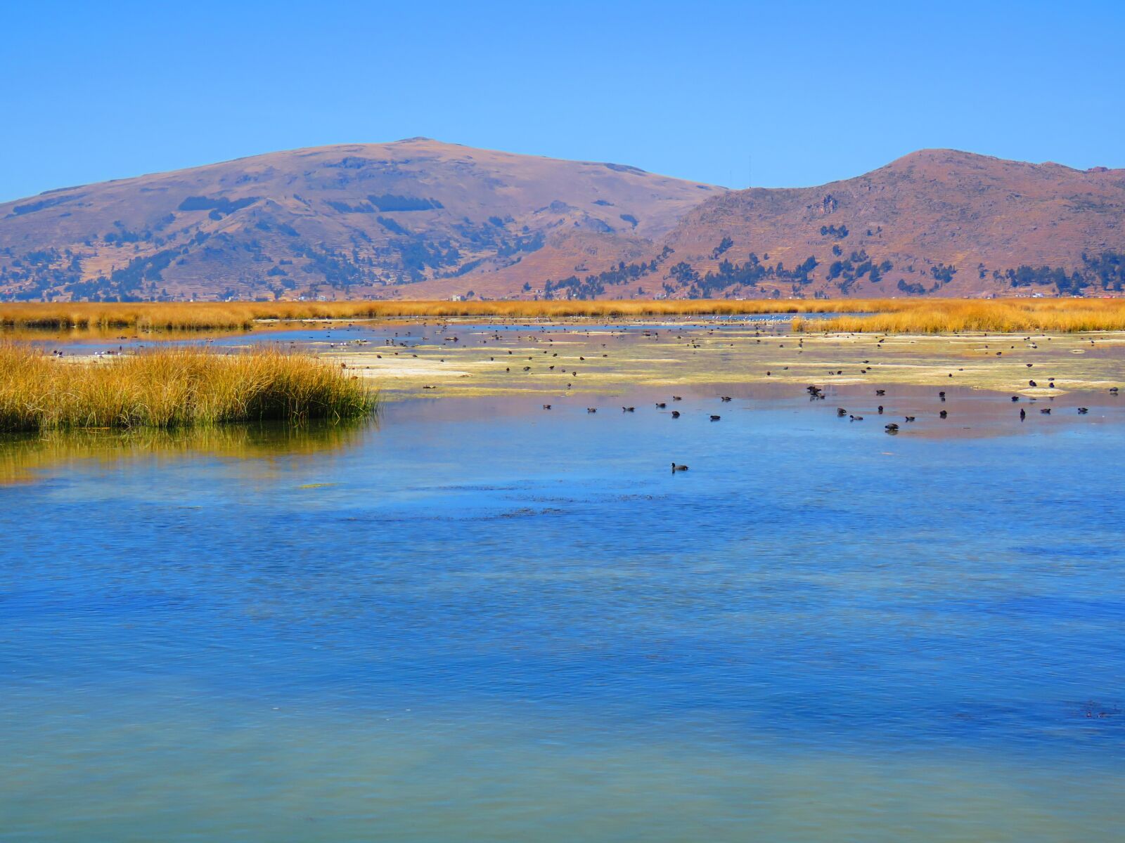 Canon PowerShot SX60 HS sample photo. Landscape, water, peru photography