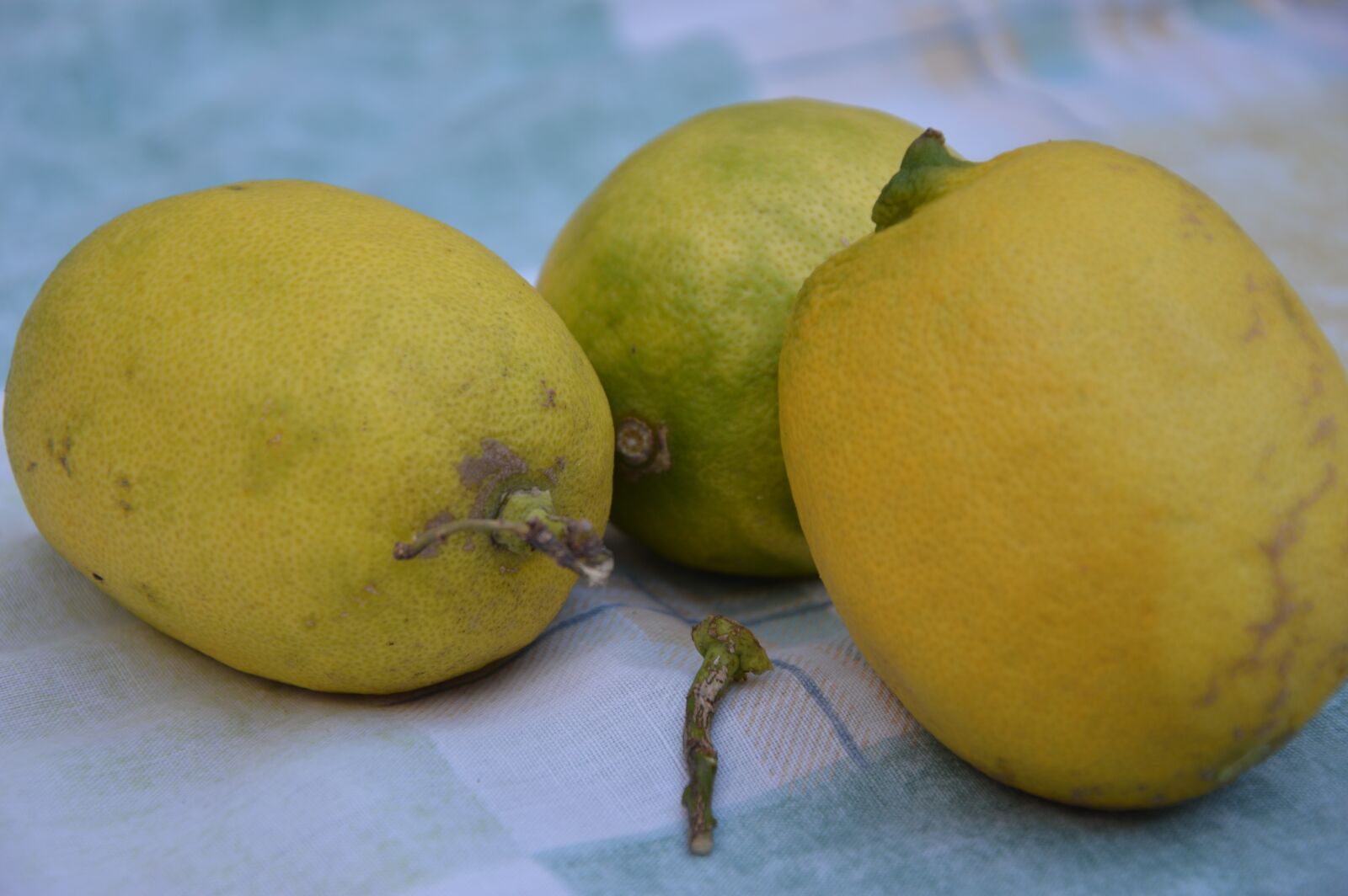Nikon D3200 sample photo. Lemons, fruits, citrus fruits photography