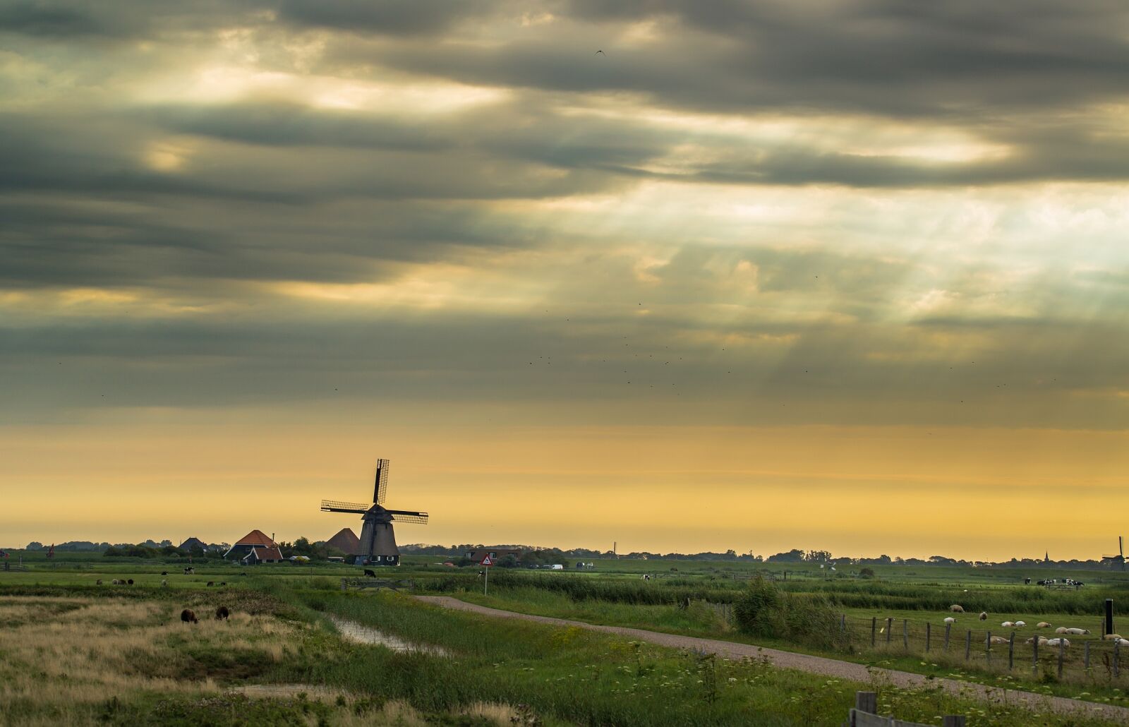 Tamron SP 150-600mm F5-6.3 Di VC USD sample photo. Holland, netherlands, windmill photography