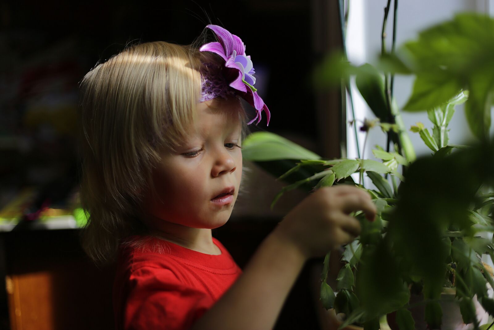 Canon EF 50mm F1.8 II sample photo. Kids, daughter, orchid photography
