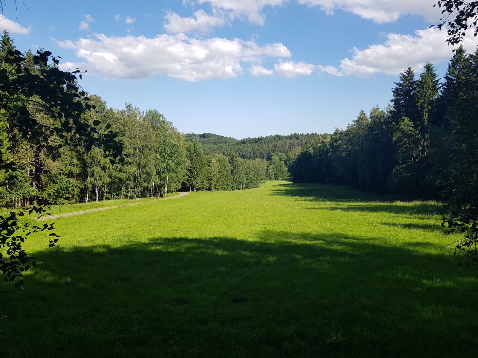 Samsung Galaxy S8+ sample photo. Czechrepublic, sky, forrest photography
