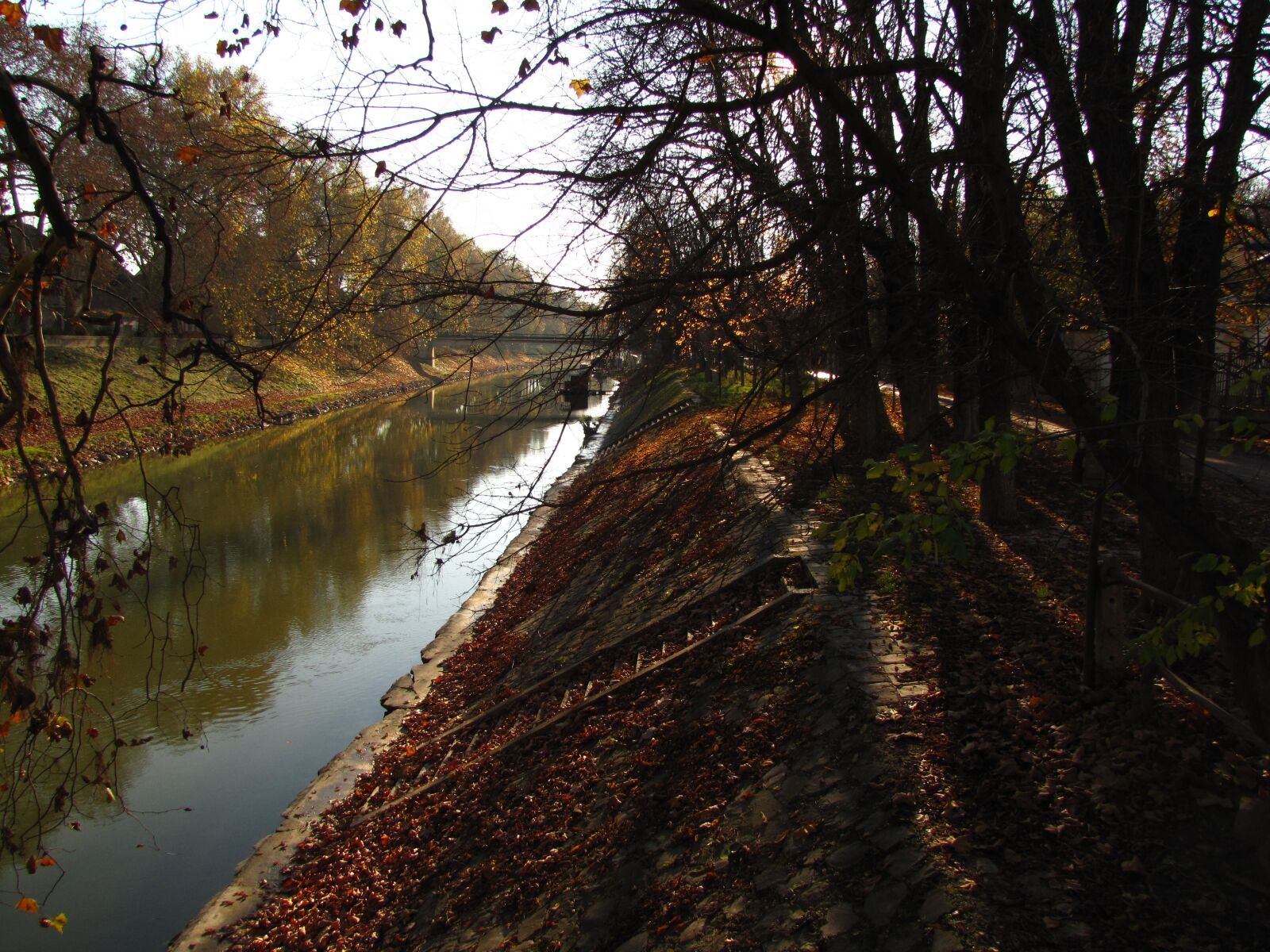 Canon PowerShot SX20 IS sample photo. River, leaves, autumn photography