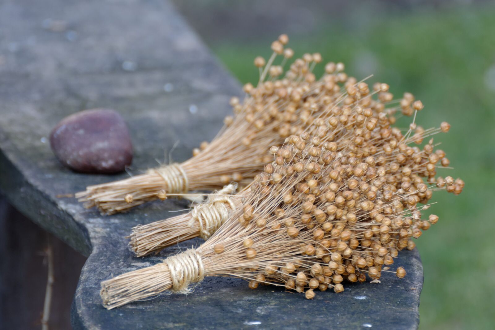 Nikon D5200 sample photo. Flax, linen, bouquet photography