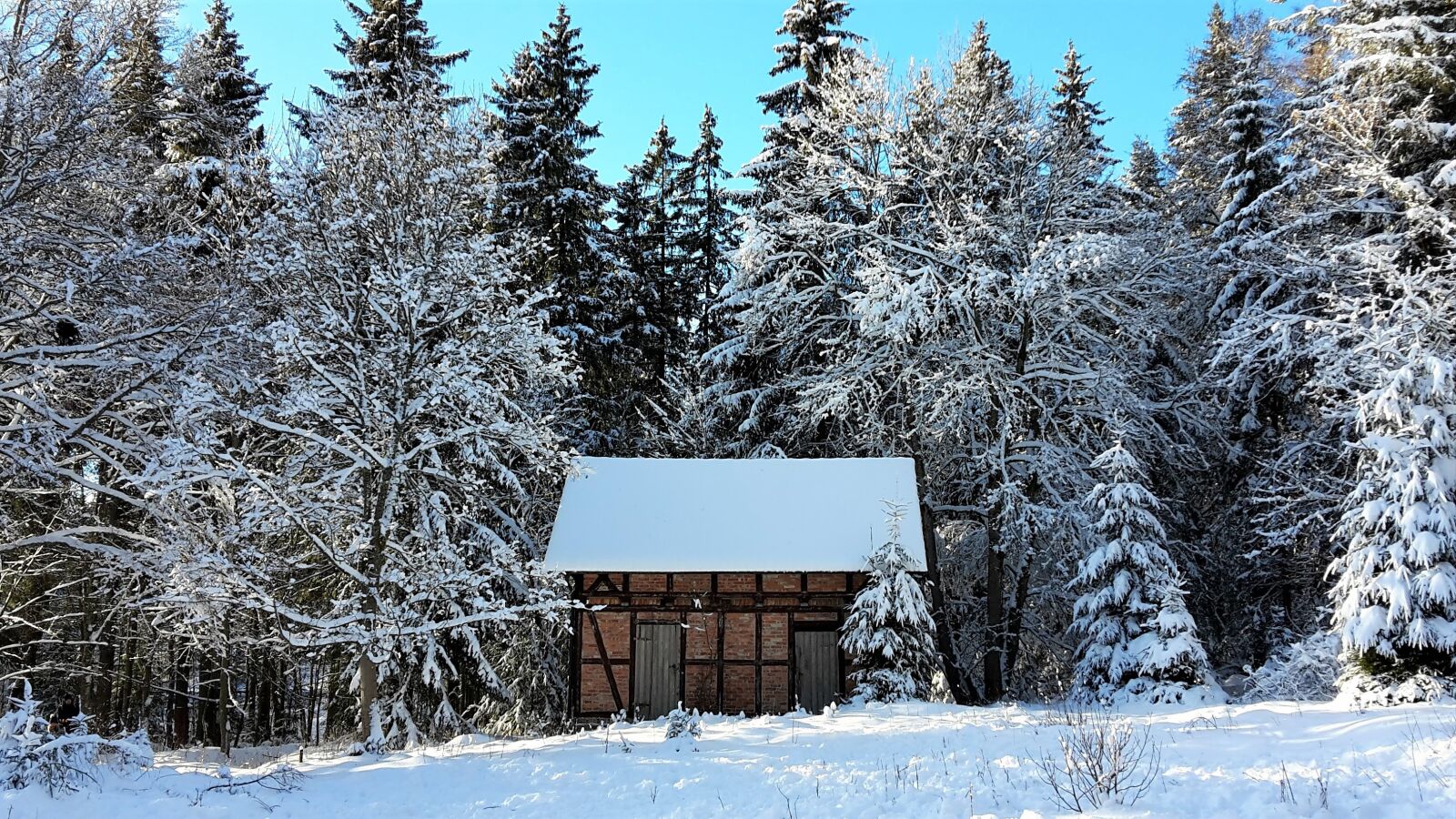 Samsung Galaxy S5 Mini sample photo. Winter, snow, white photography