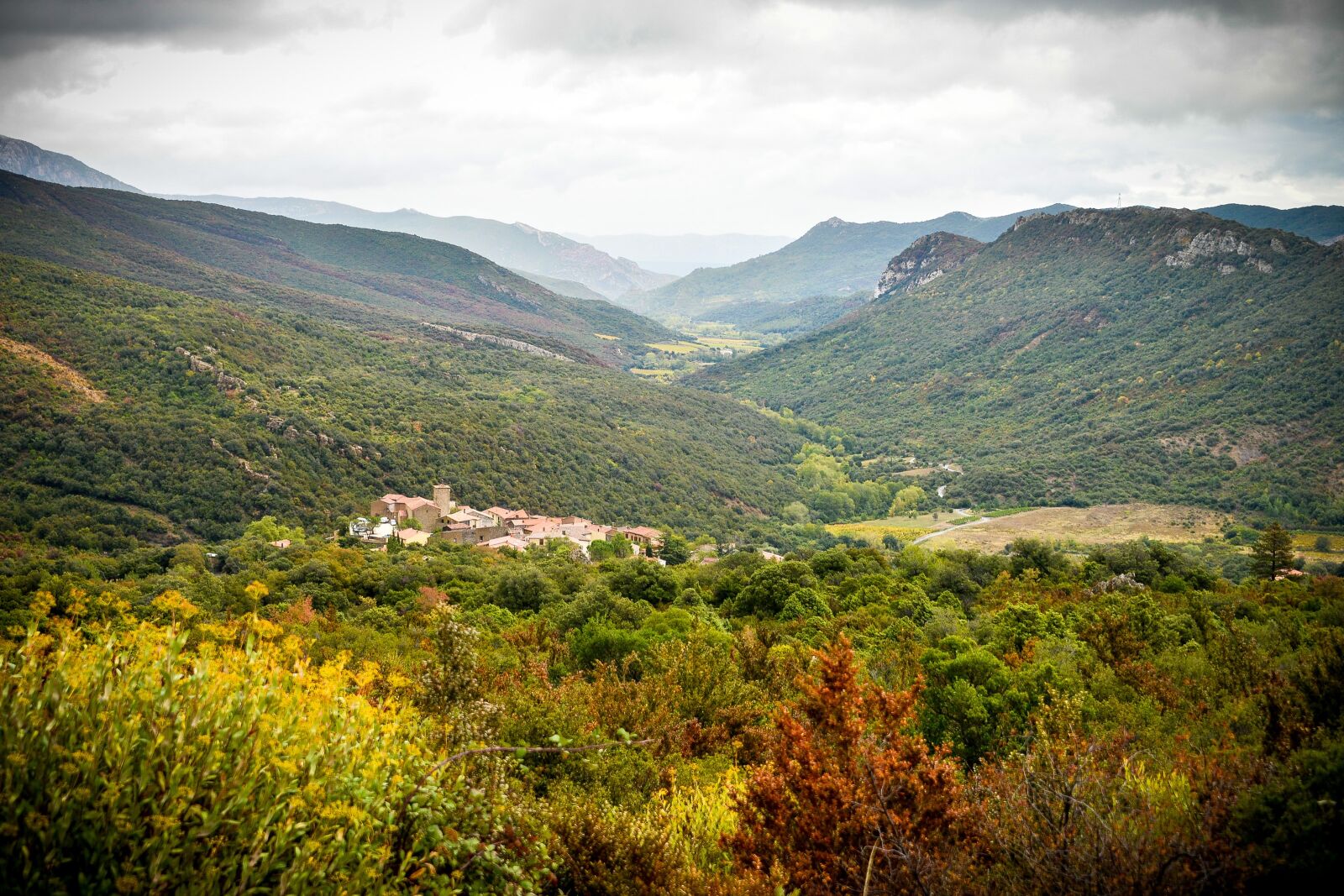 Nikon D610 sample photo. Carcassonne, aude, cathar country photography