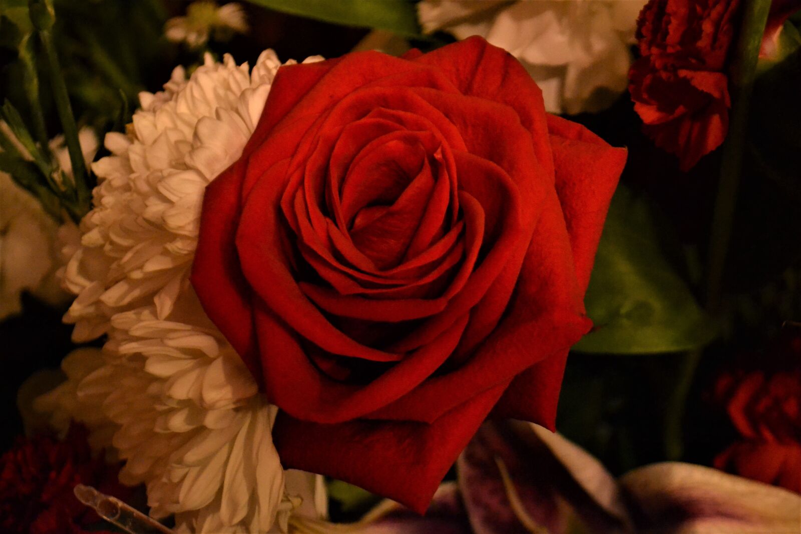 Nikon D3100 sample photo. Rose, bouquet, decoration photography
