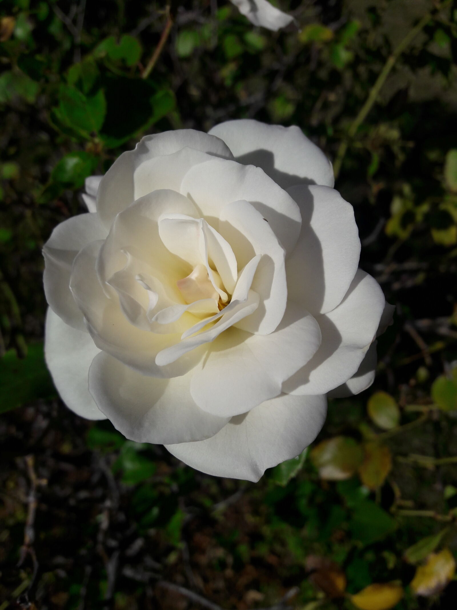 Samsung Galaxy J7 sample photo