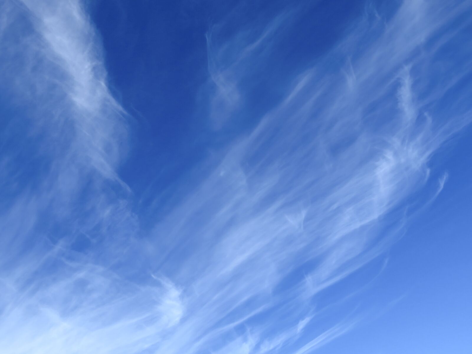Canon PowerShot SX60 HS sample photo. Sky, clouds, cirrus photography