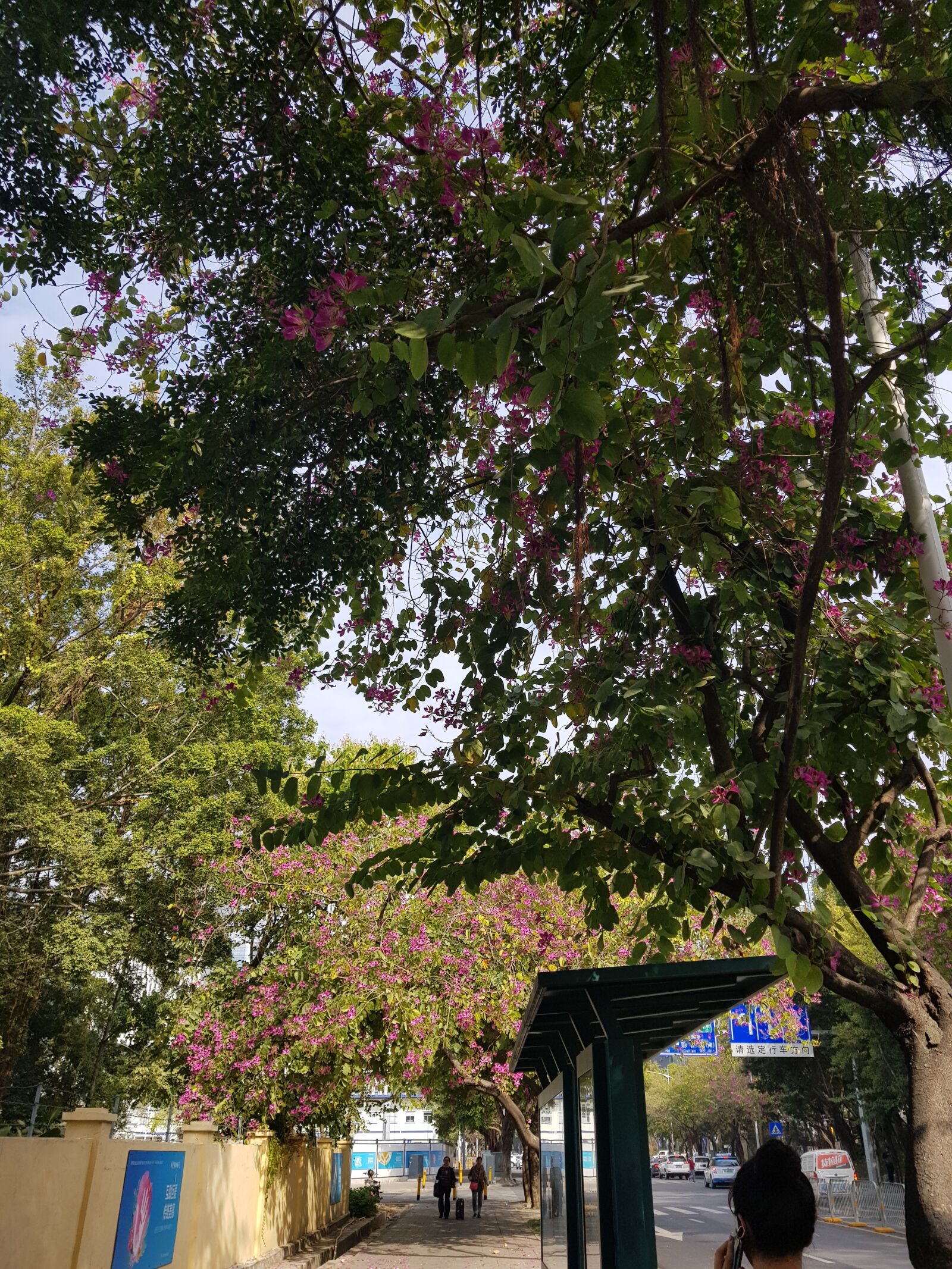 Samsung Galaxy S8+ sample photo. Street, walk, people's republic photography