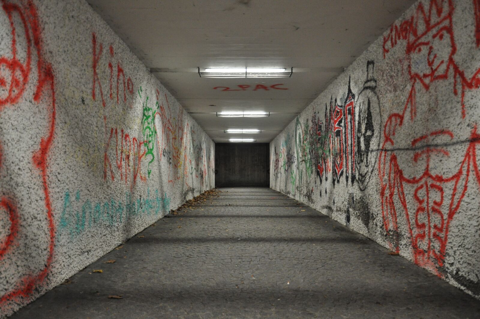 Nikon D5000 sample photo. Passage, night, underpass photography