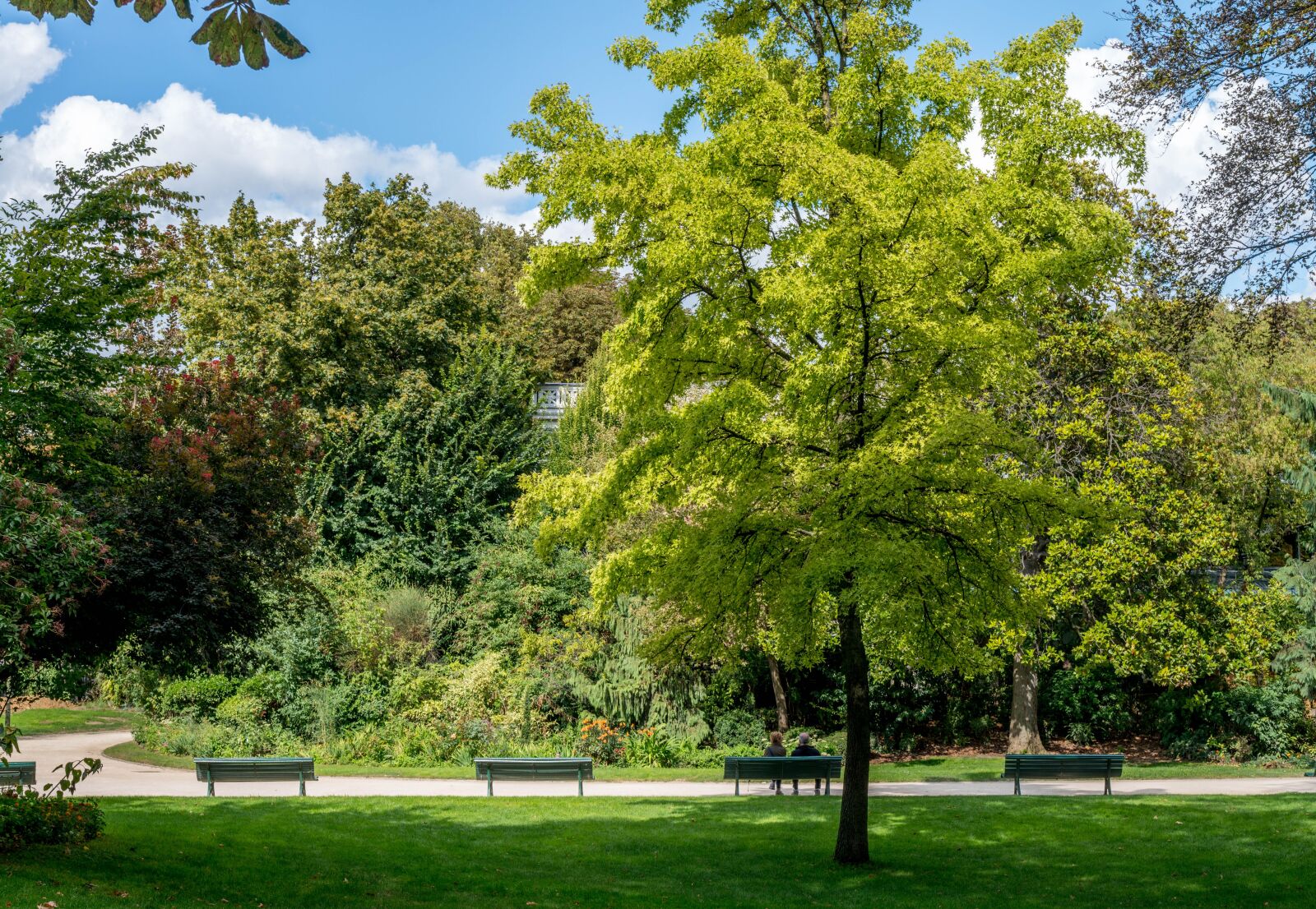 Nikon D800 sample photo. Paris, garden, champs elysees photography