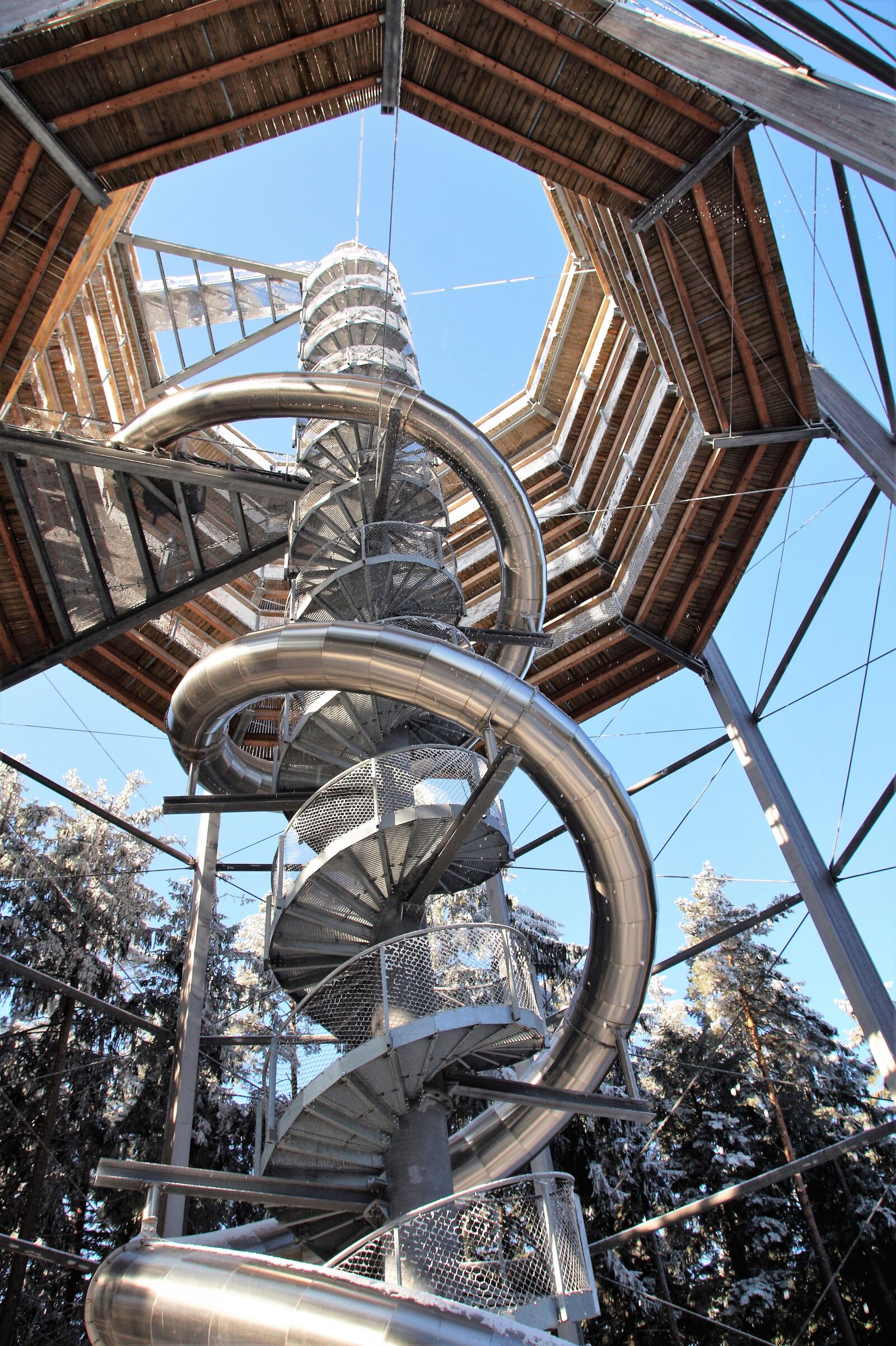 Sony SLT-A58 sample photo. Trail treetops, lipno, czech photography