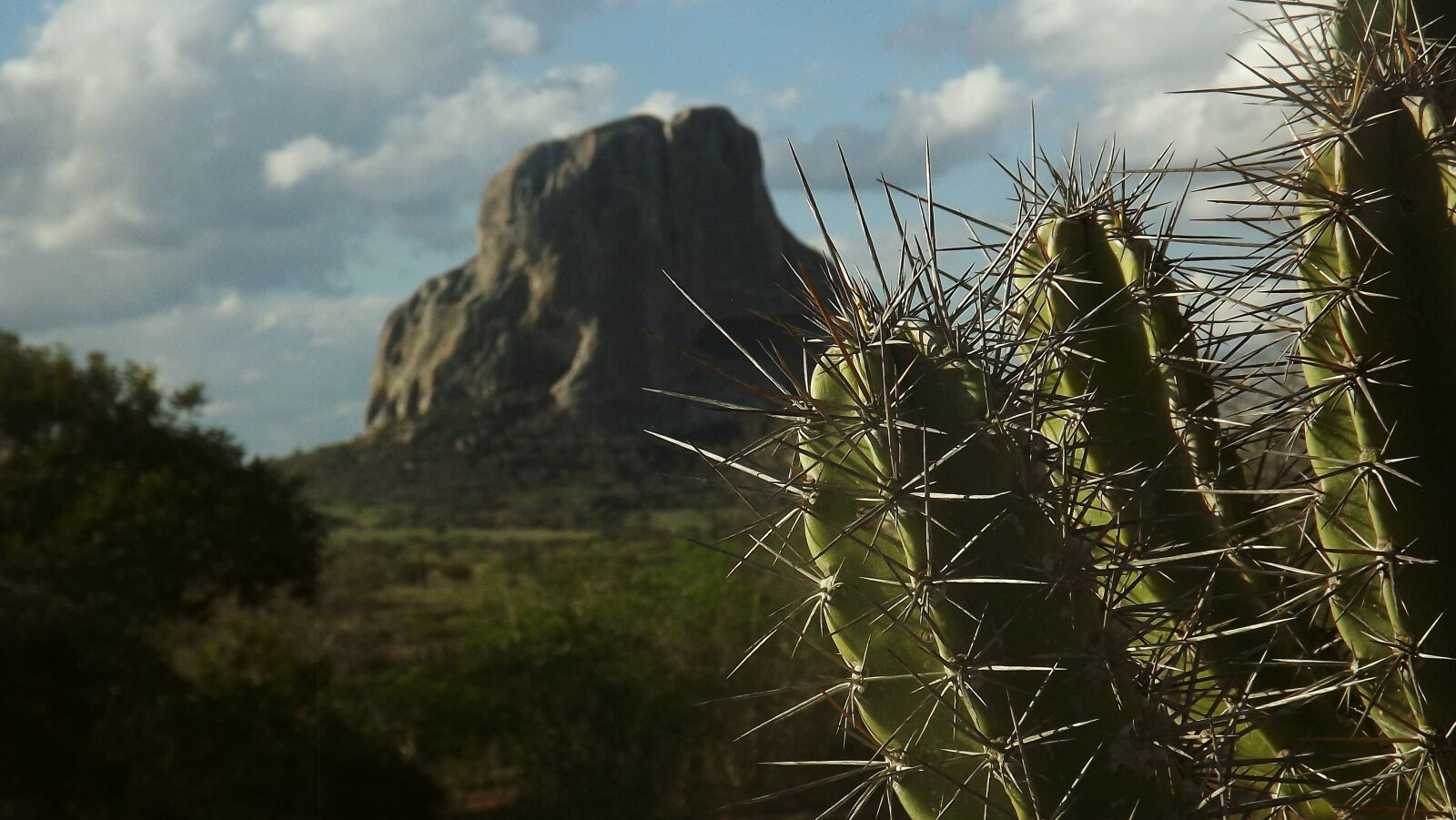 Fujifilm FinePix S3300 sample photo. "Cactus, serra, mountain" photography