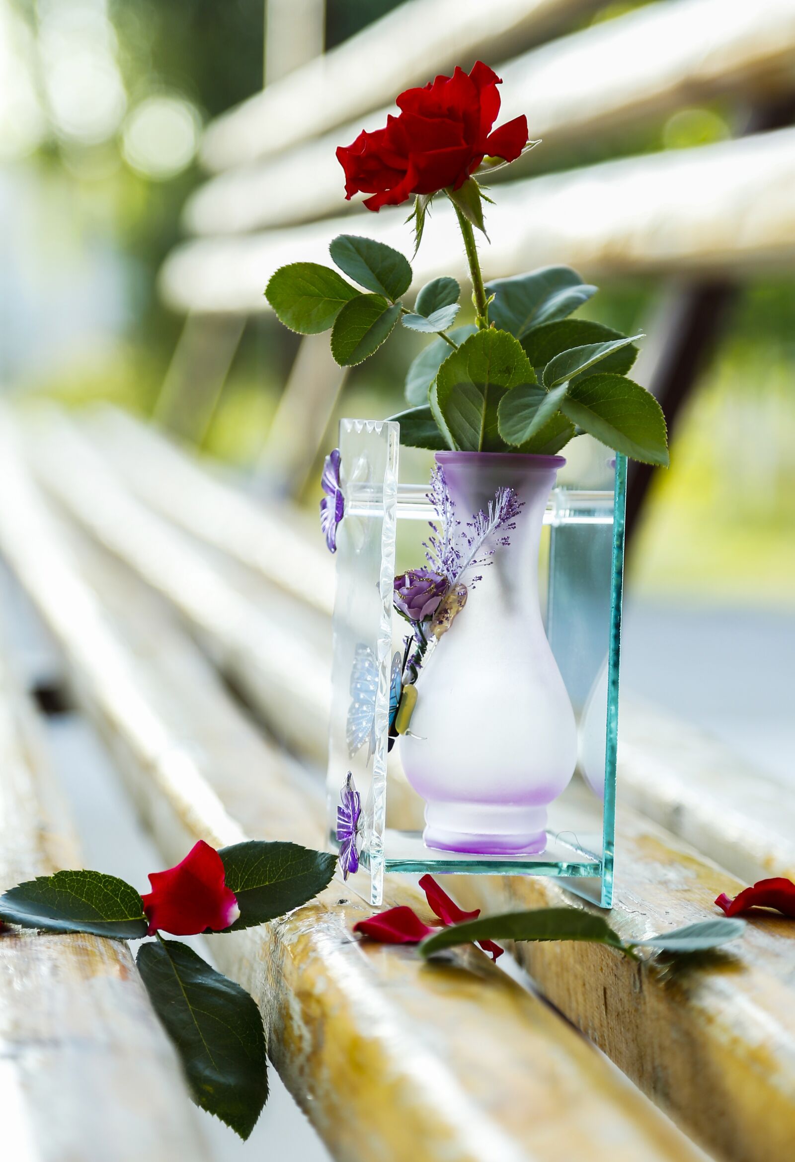 Canon EOS 6D + Canon EF 24-105mm F4L IS USM sample photo. Leaves, flowers, red photography