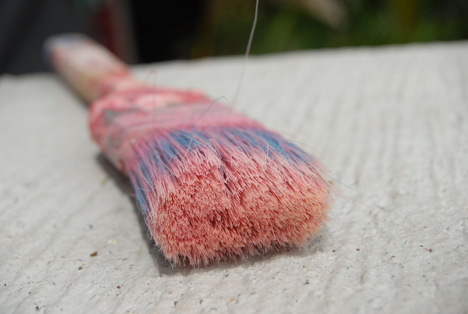 Nikon D200 sample photo. Brush, painting, colors photography