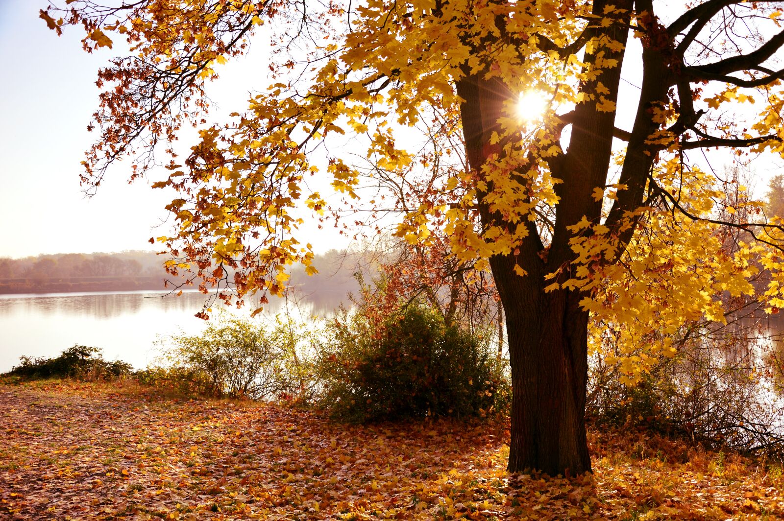 Nikon D3200 sample photo. Landscape, autumn landscape, nature photography